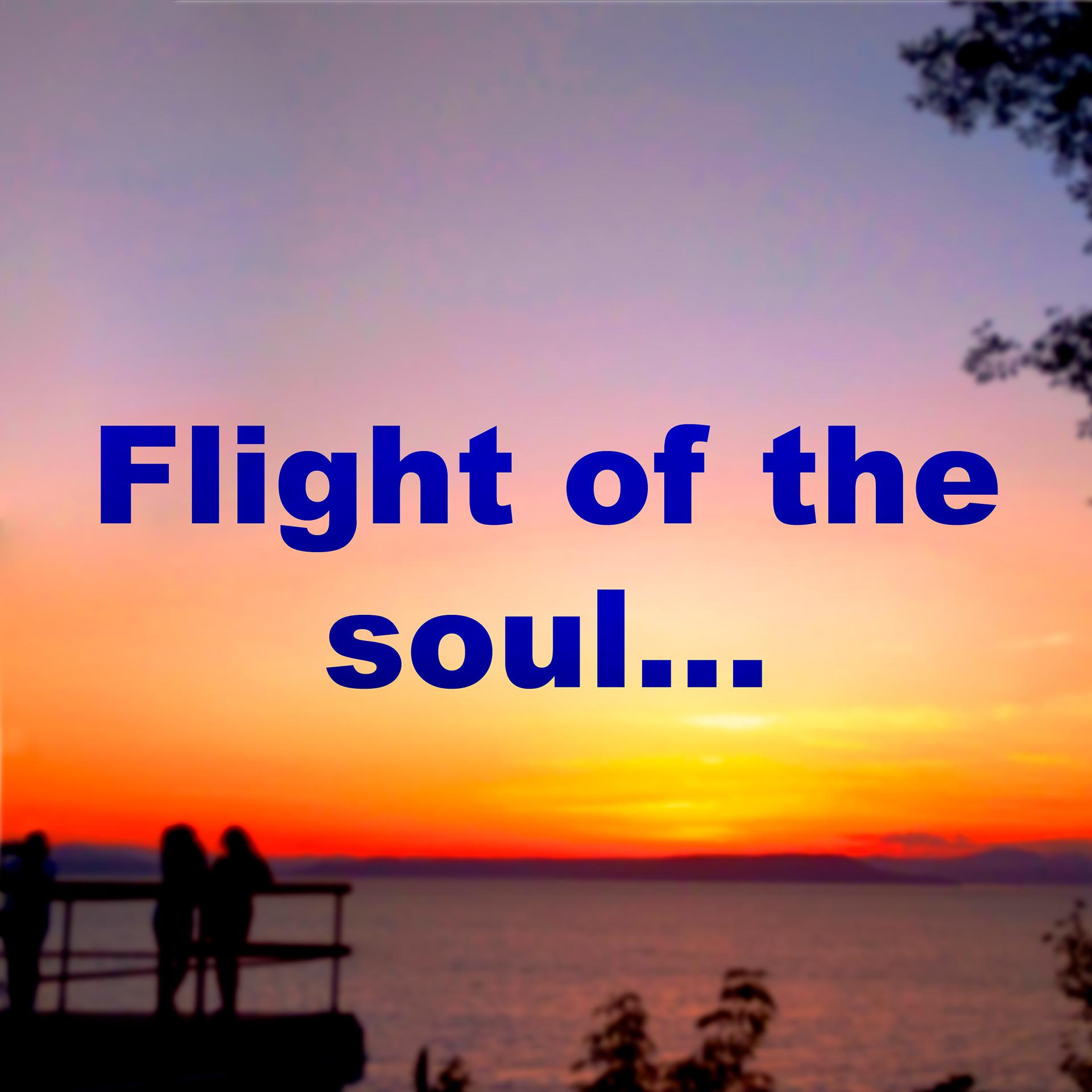 Постер альбома Flight of the Soul