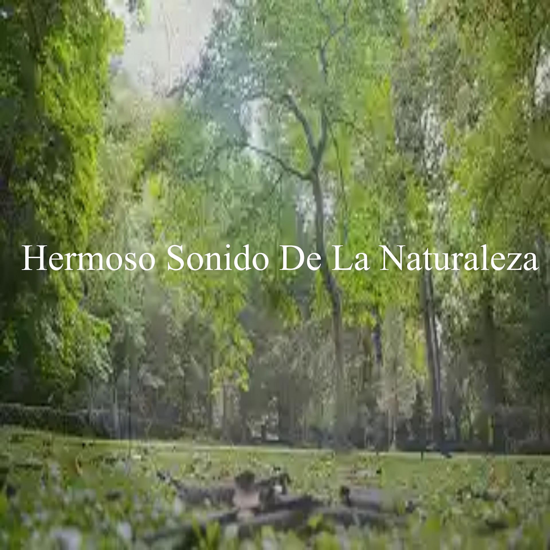Постер альбома Hermoso Sonido De La Naturaleza