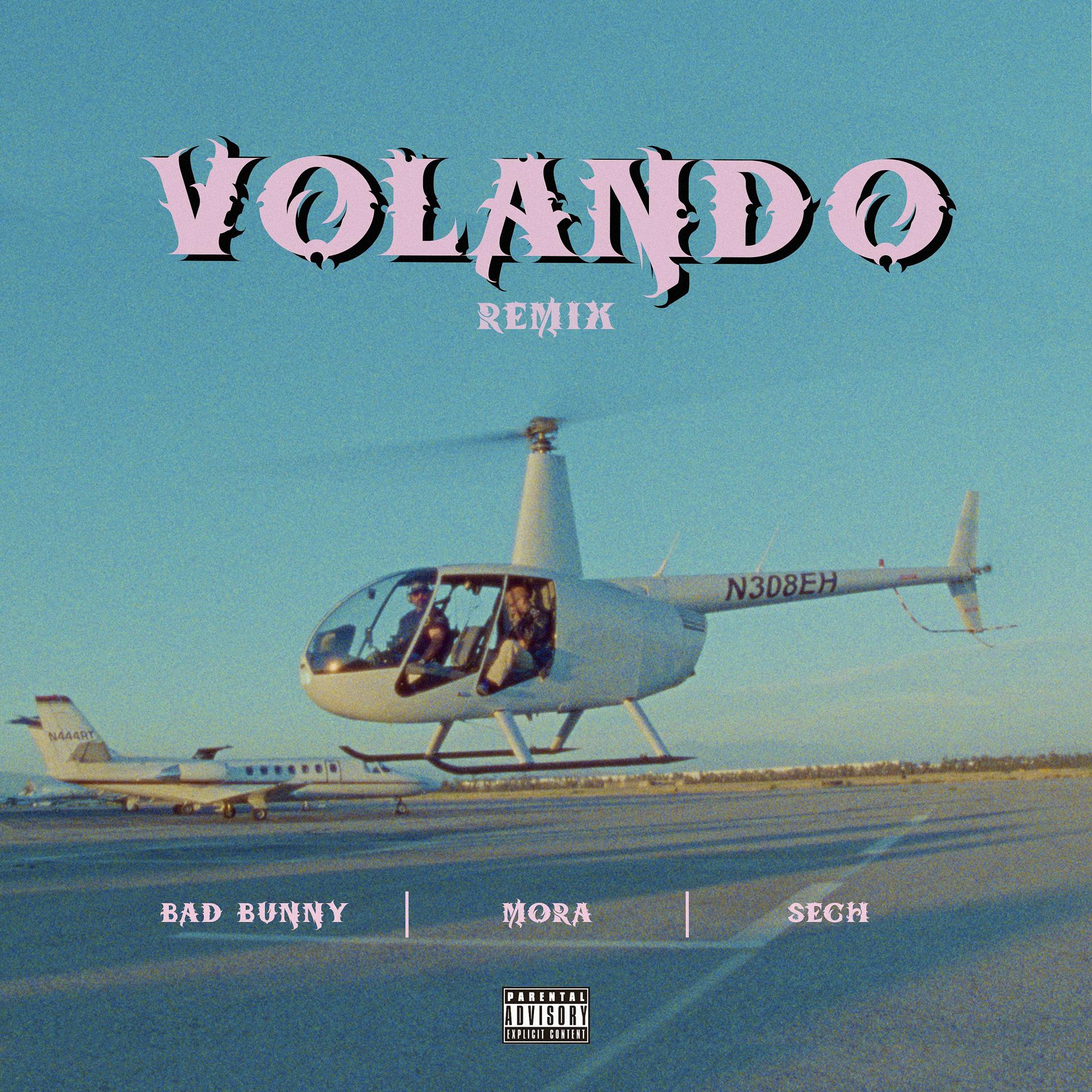 Постер альбома Volando (Remix)