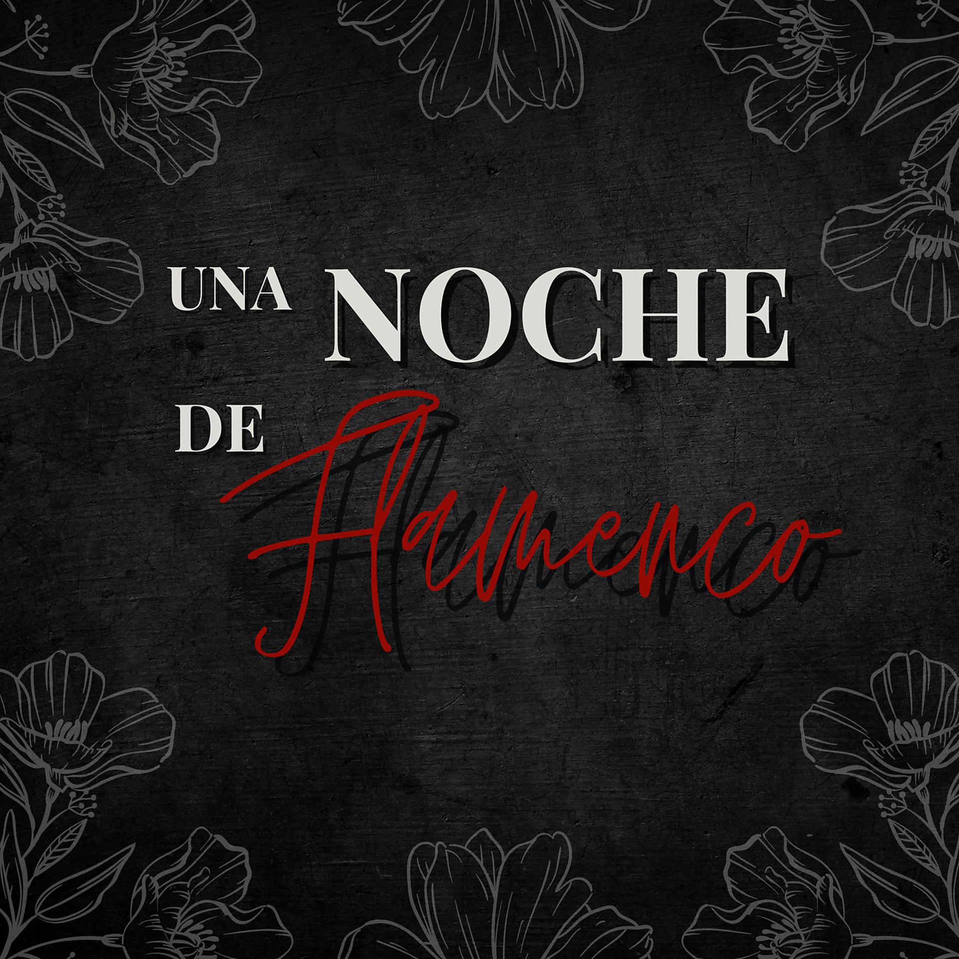 Постер альбома Una Noche de Flamenco
