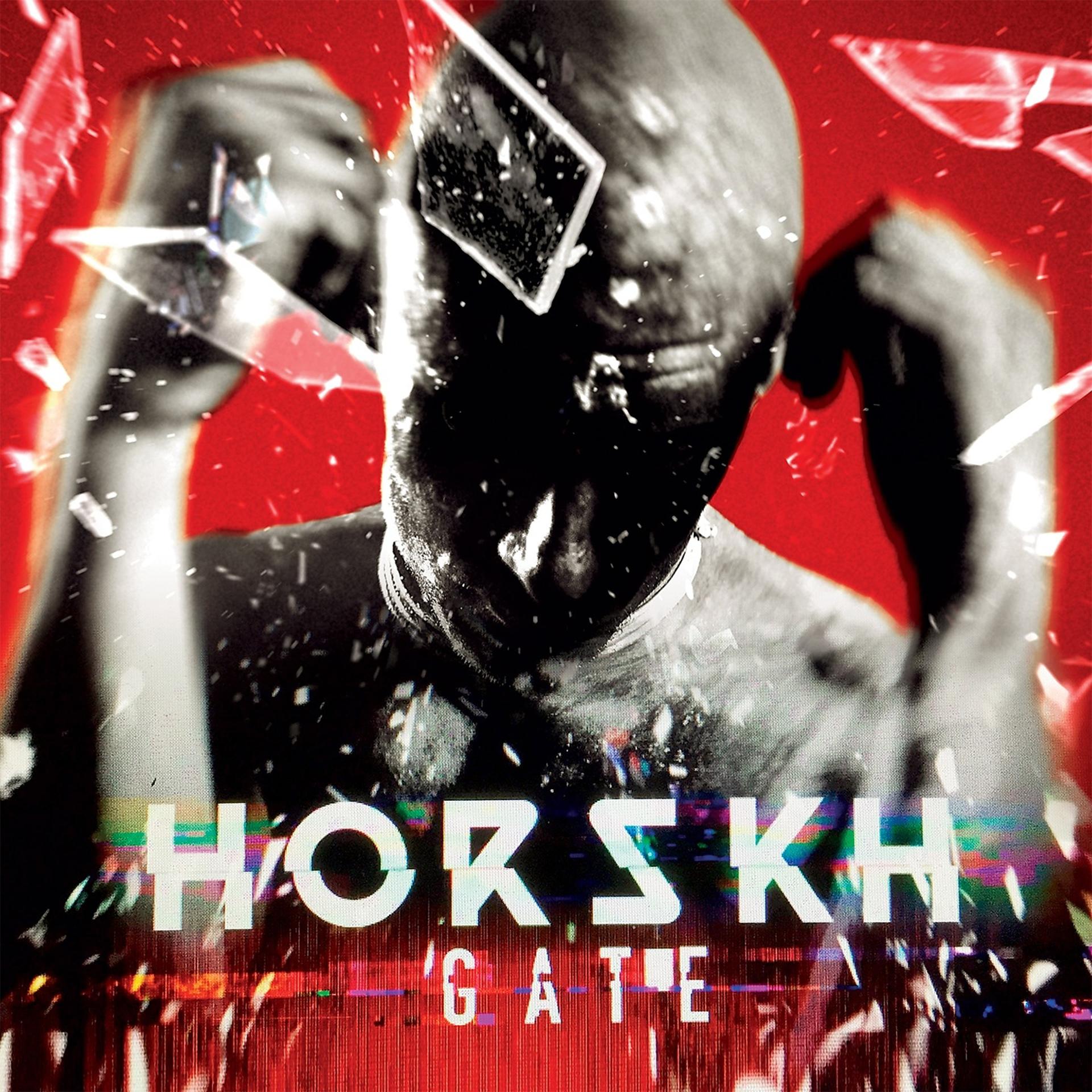 Постер альбома Gate