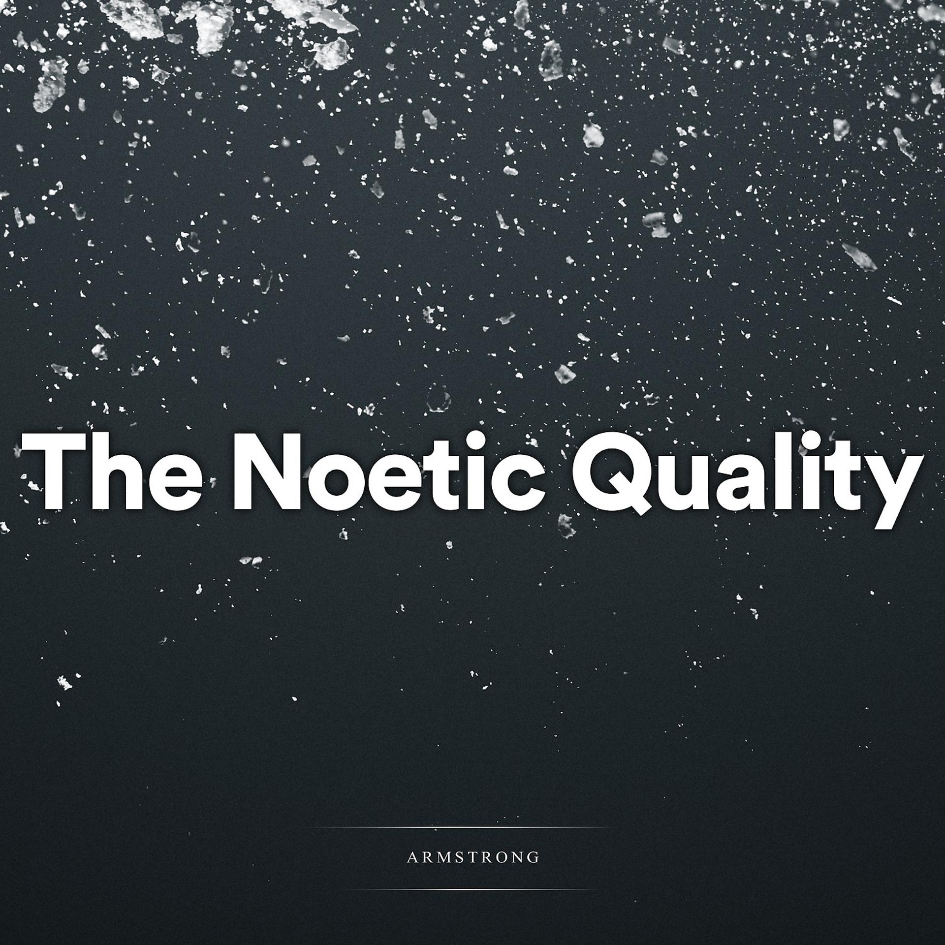 Постер альбома The Noetic Quality