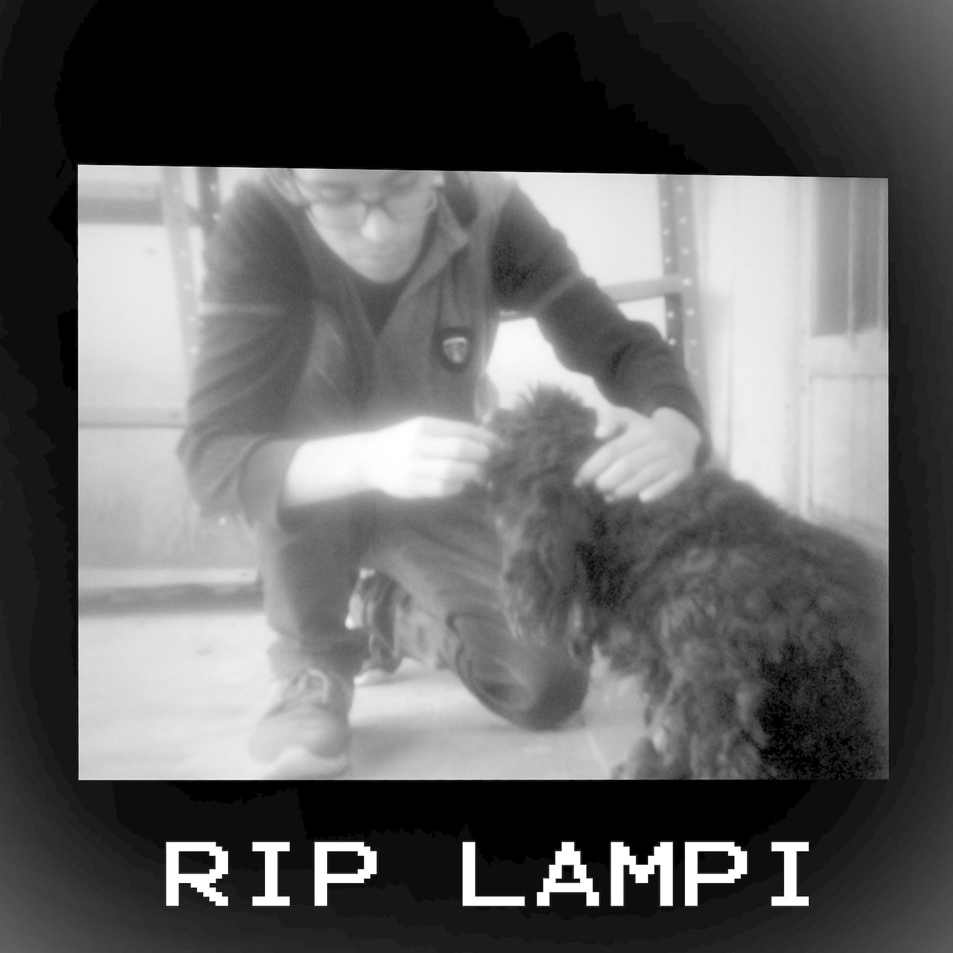 Постер альбома RIP Lampi