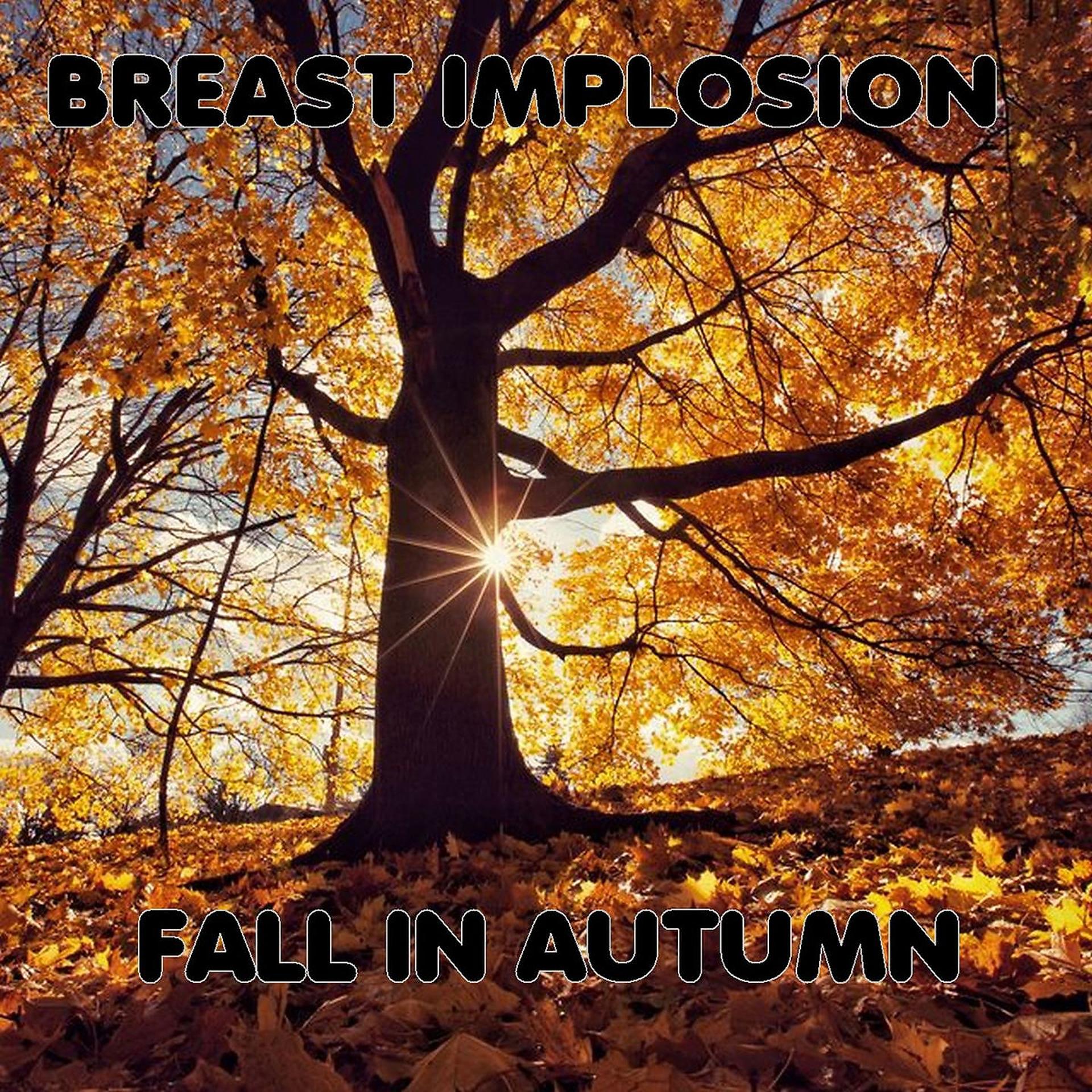 Постер альбома Fall in Autumn