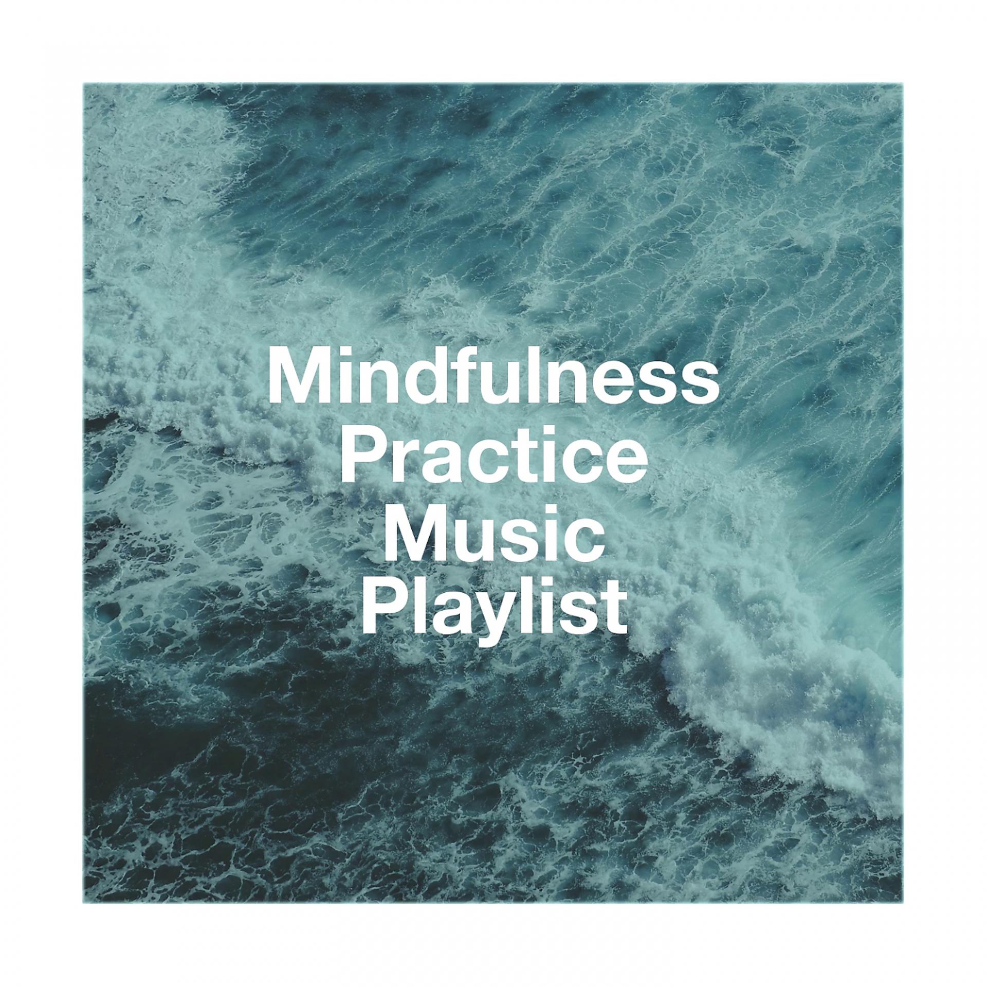 Постер альбома Mindfulness Practice Music Playlist