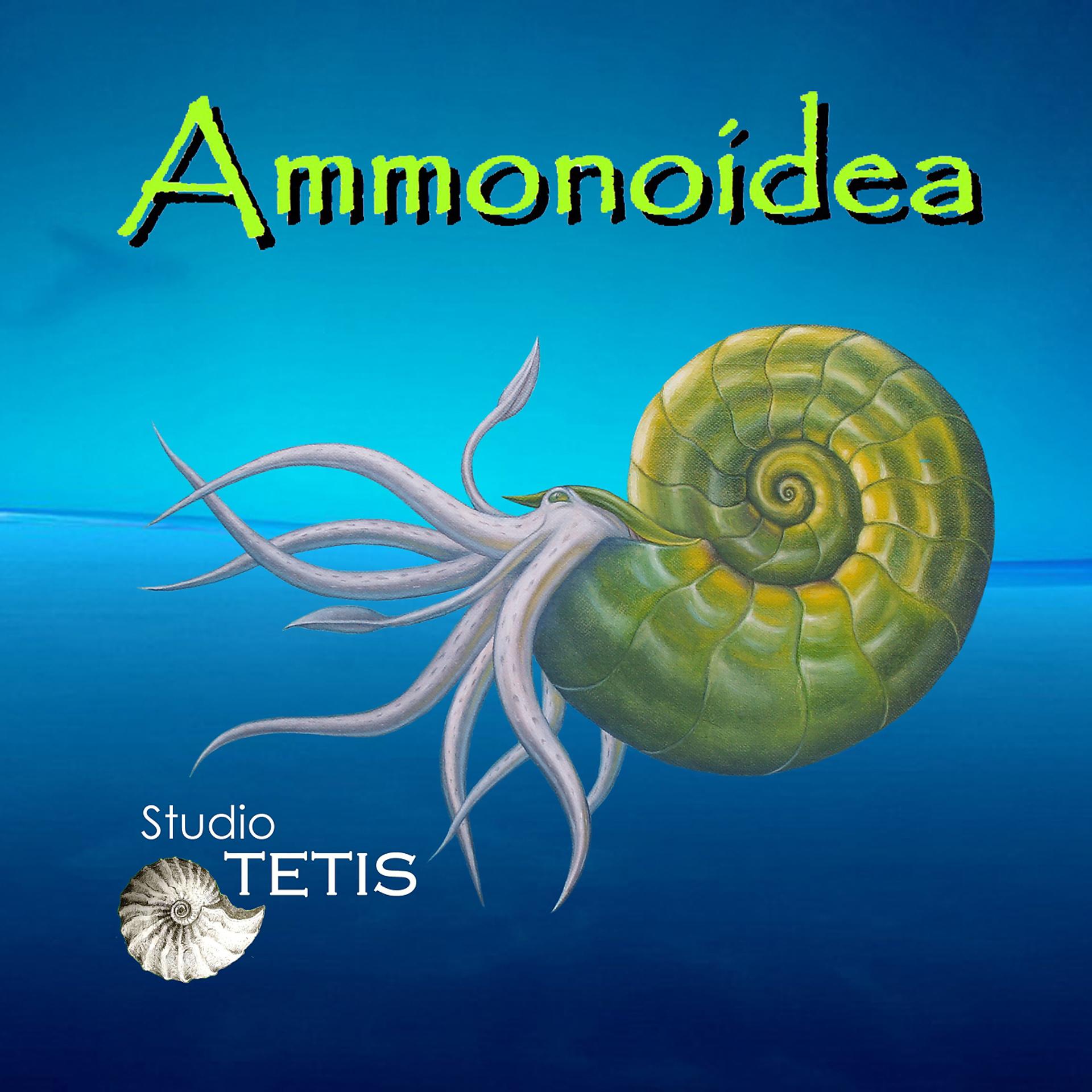Постер альбома Ammonoidea