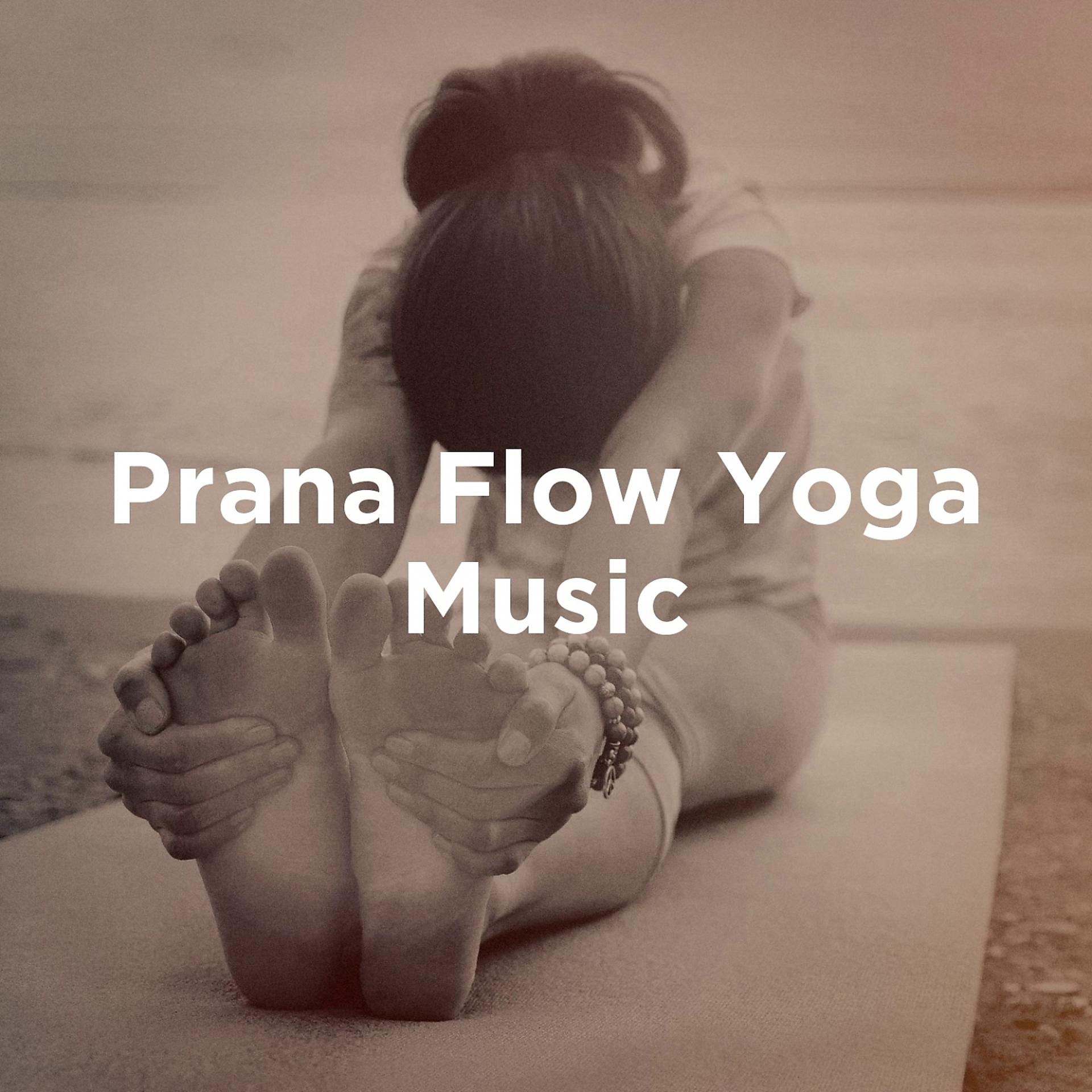 Постер альбома Prana Flow Yoga Music