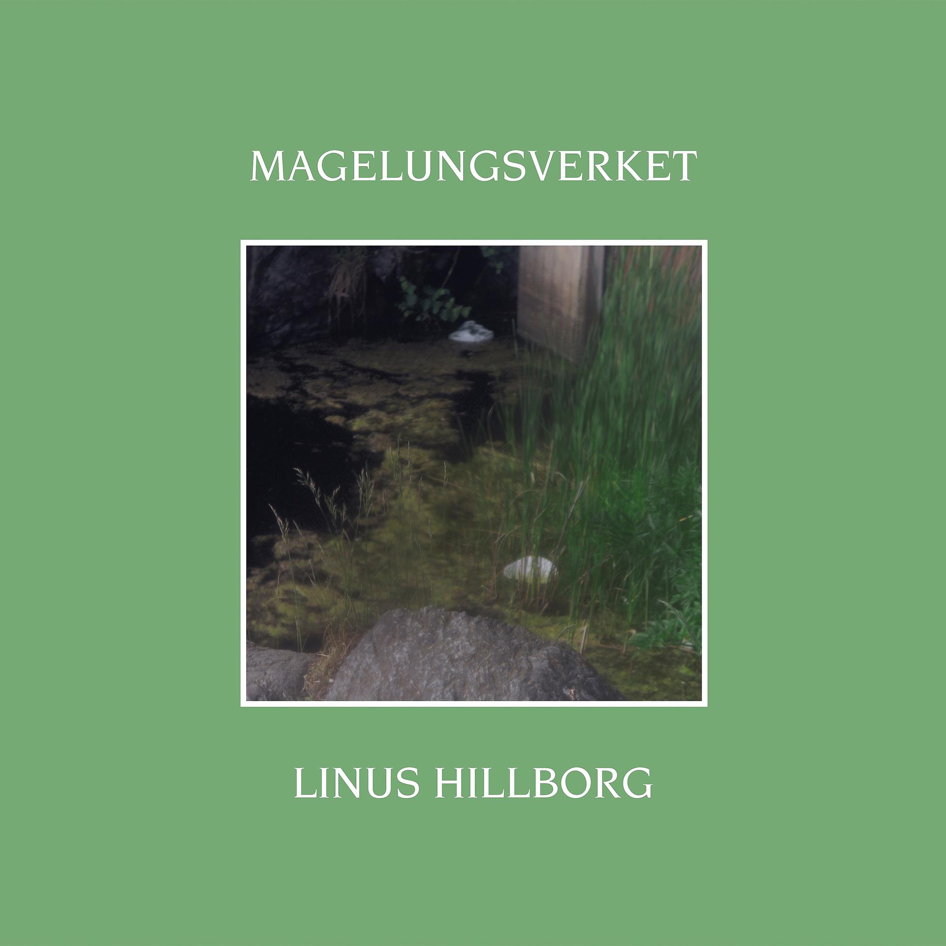 Постер альбома Magelungsverket