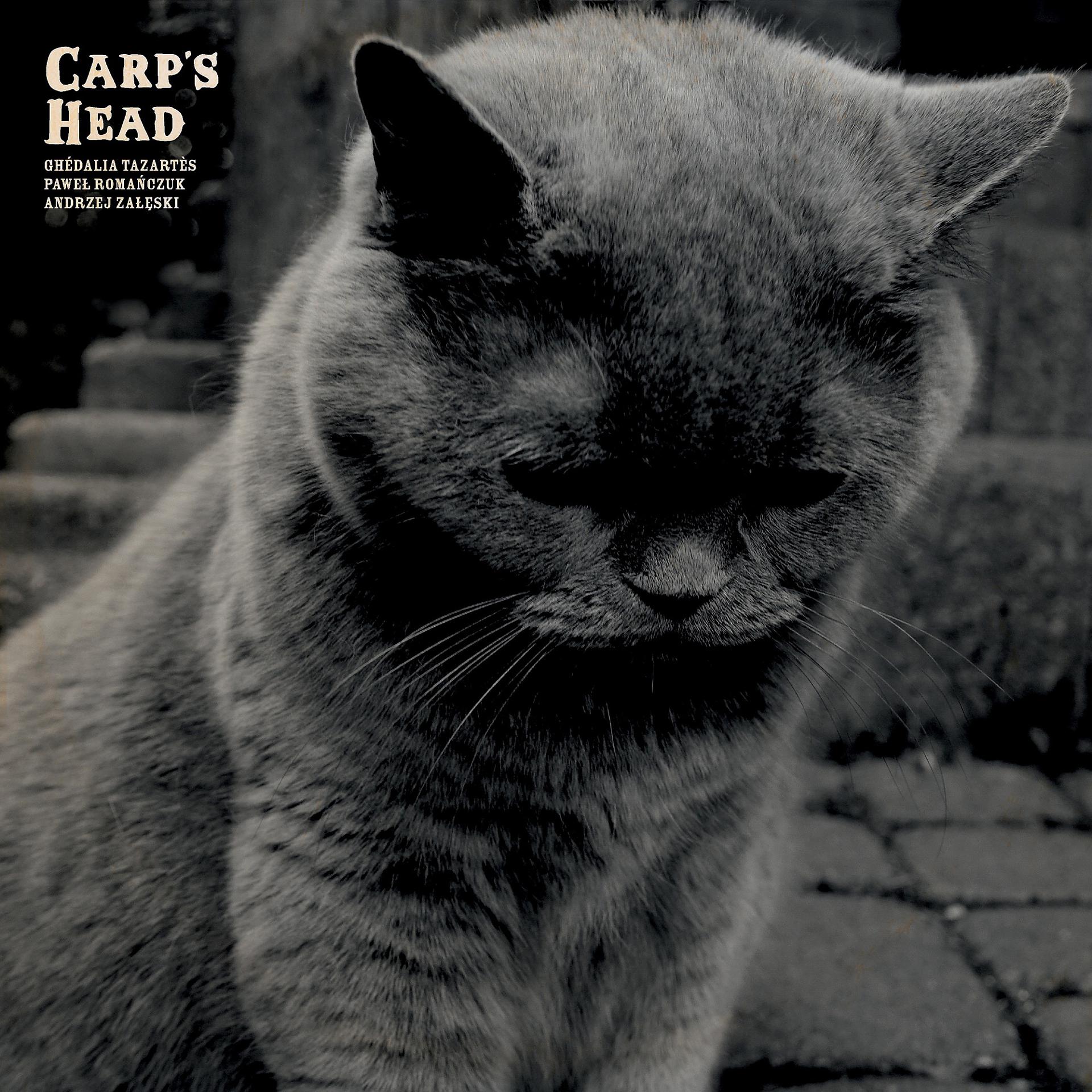 Постер альбома Carp's Head