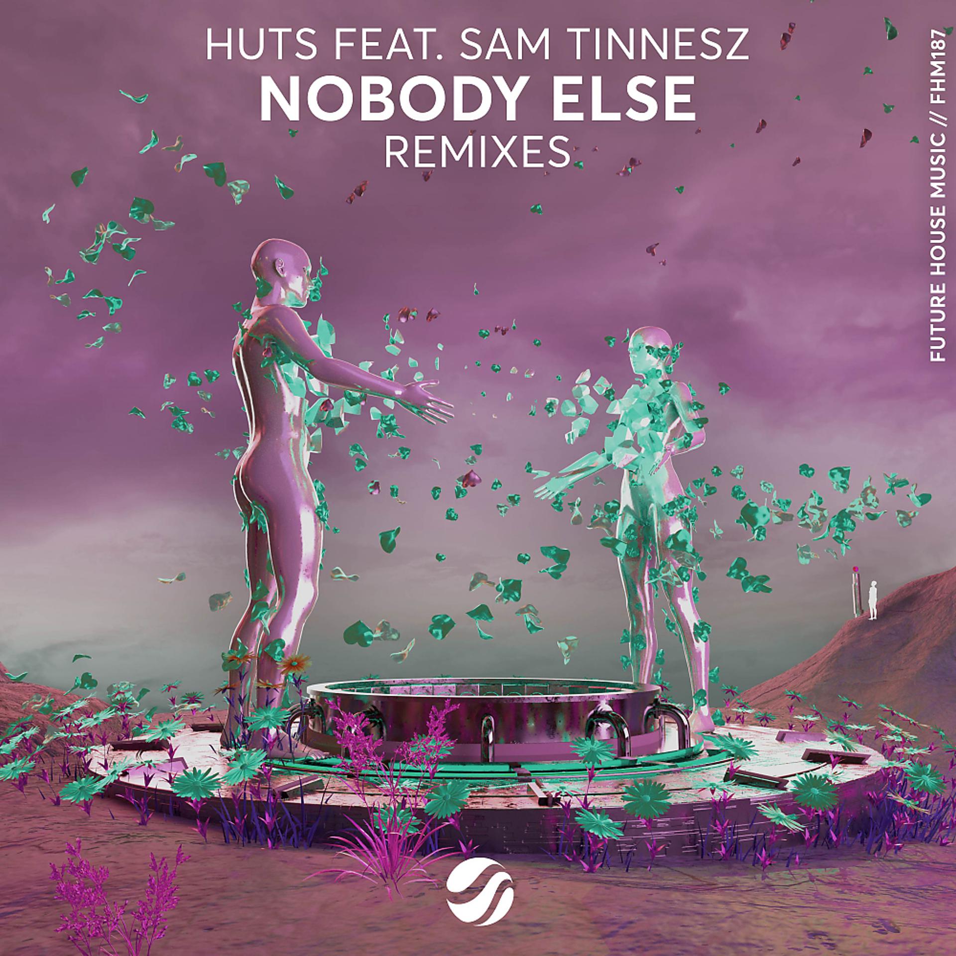 Постер альбома Nobody Else (Remixes)