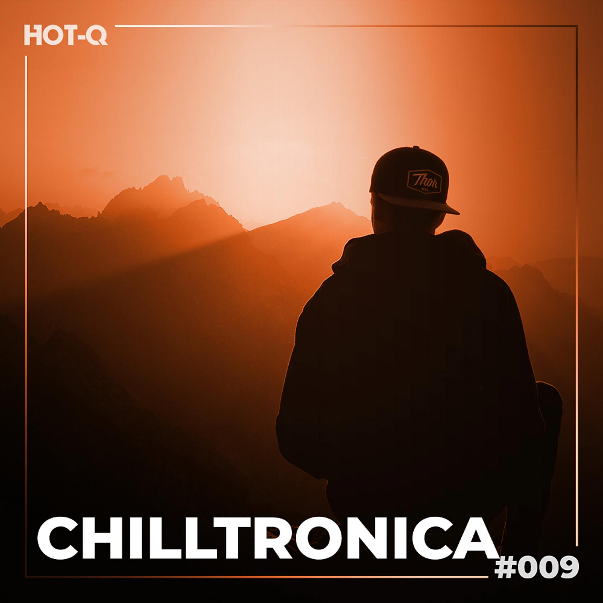 Постер альбома Chilltronica 009