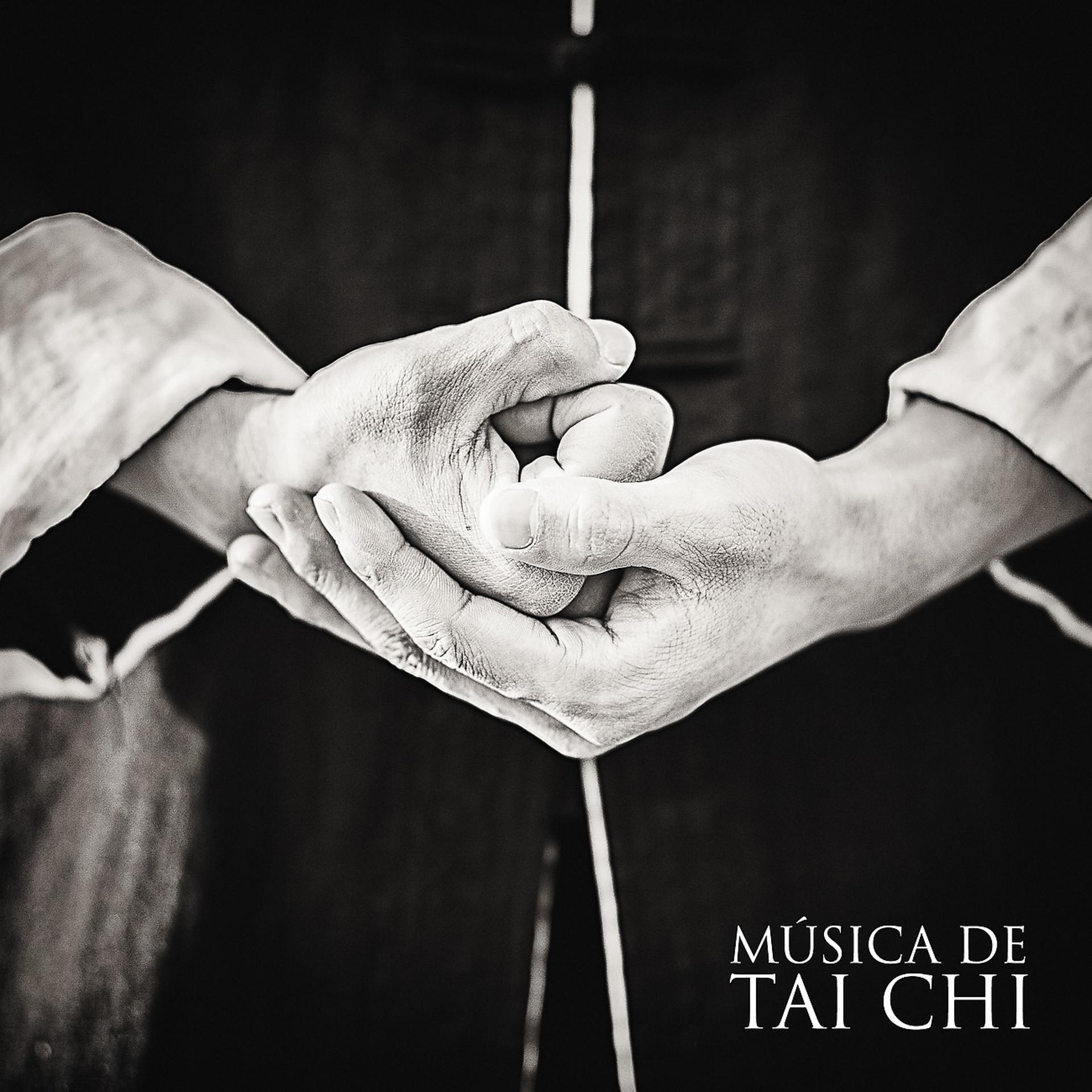 Постер альбома Música de Tai Chi