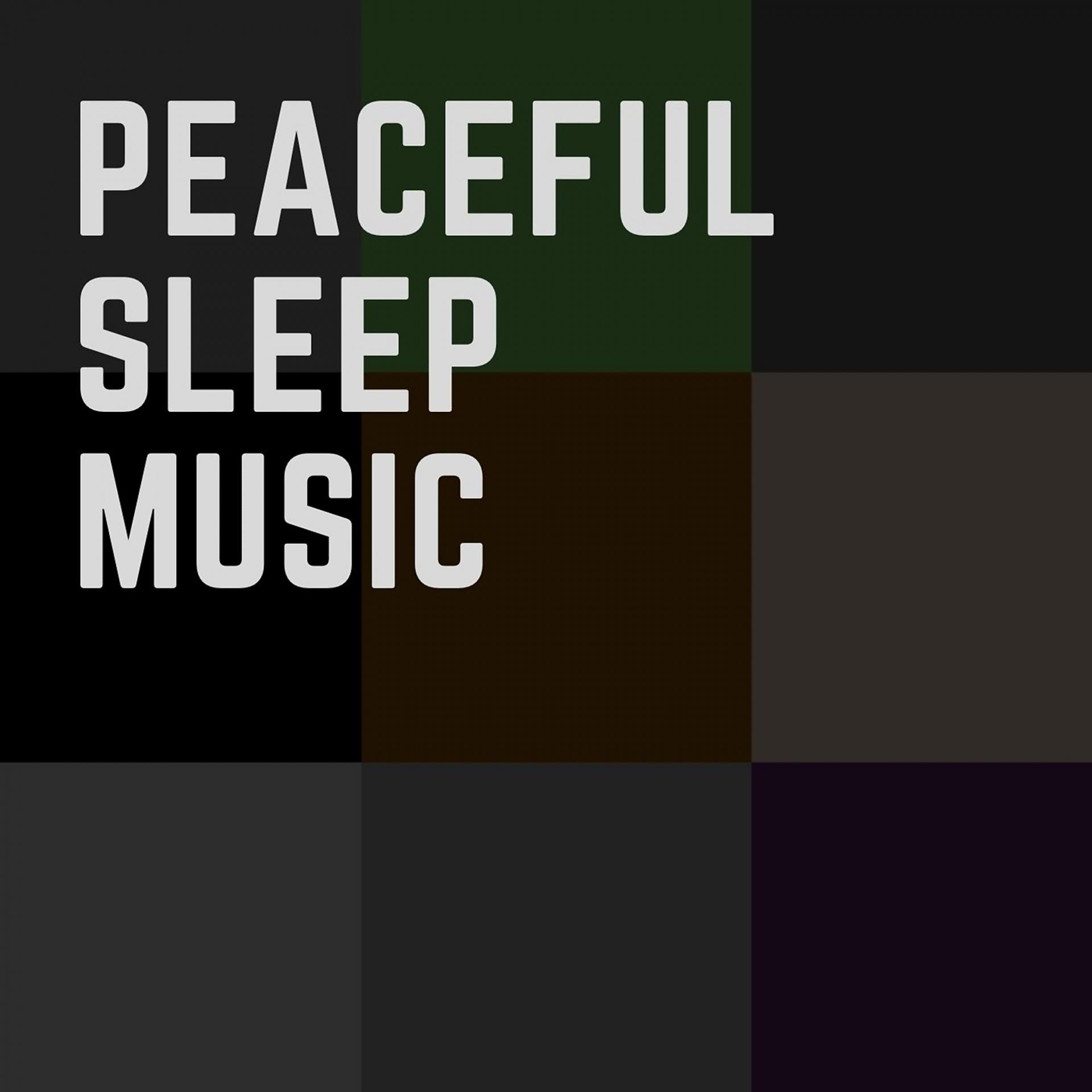 Постер альбома Peaceful sleep music
