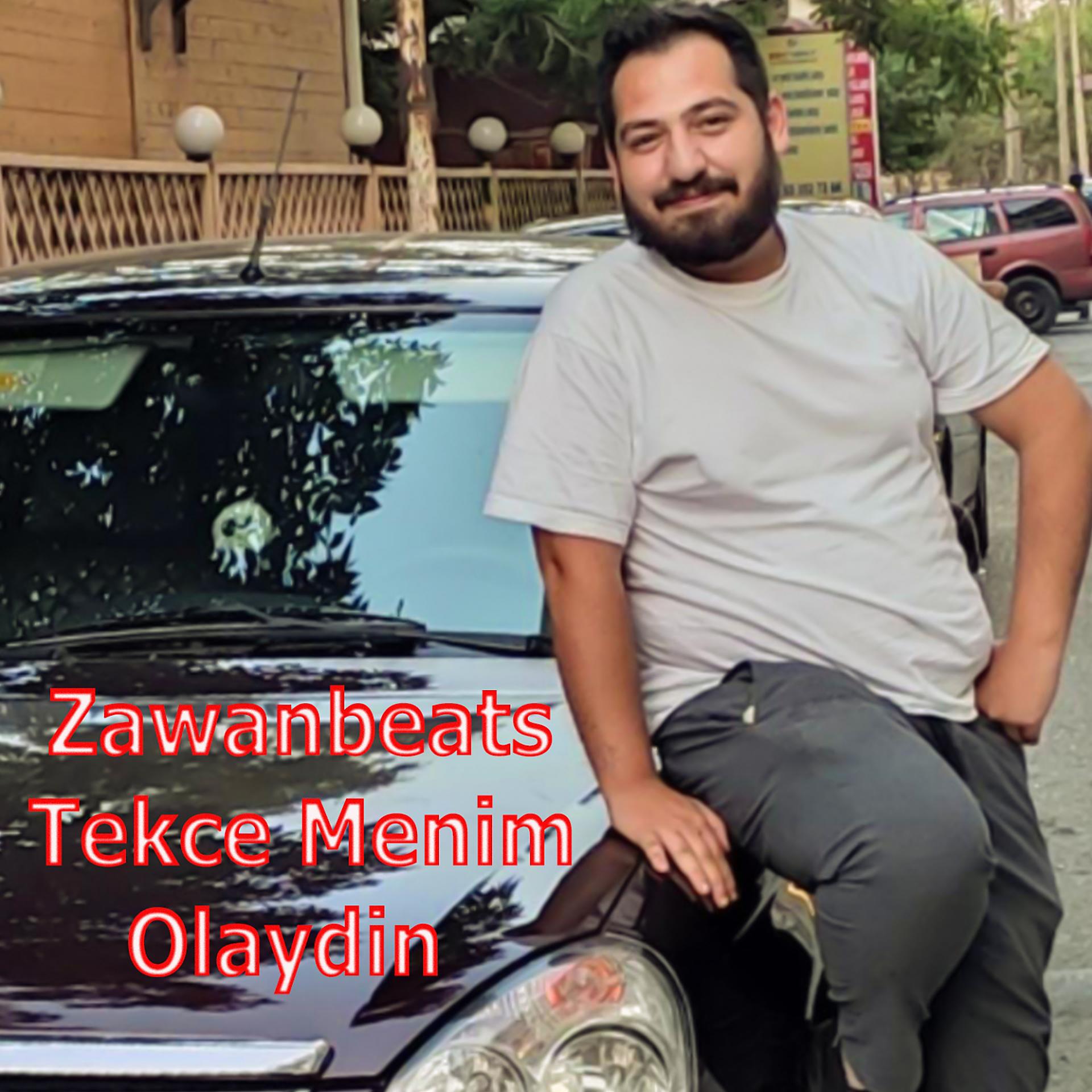 Постер альбома Tekce Menim Olaydin