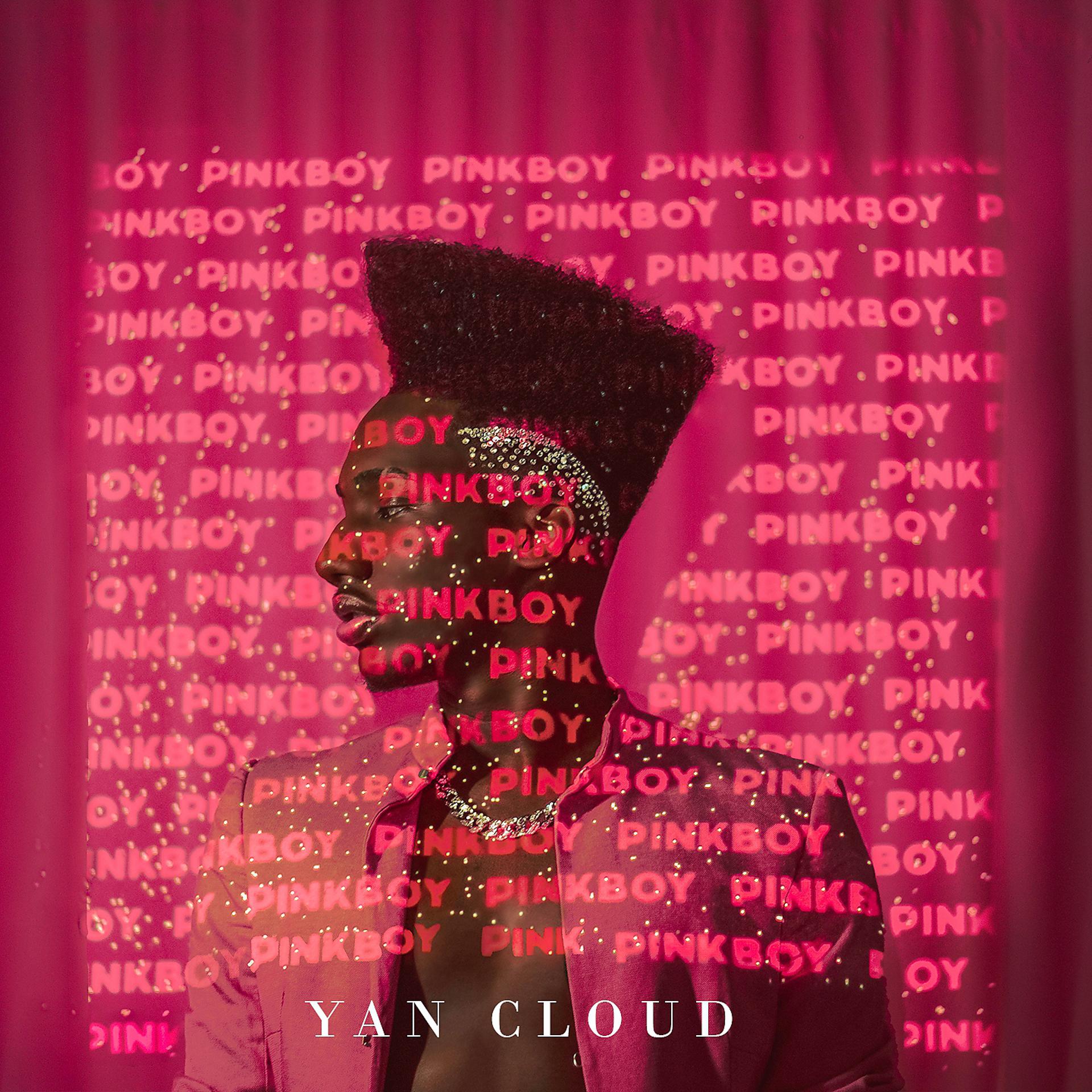 Постер альбома Pinkboy