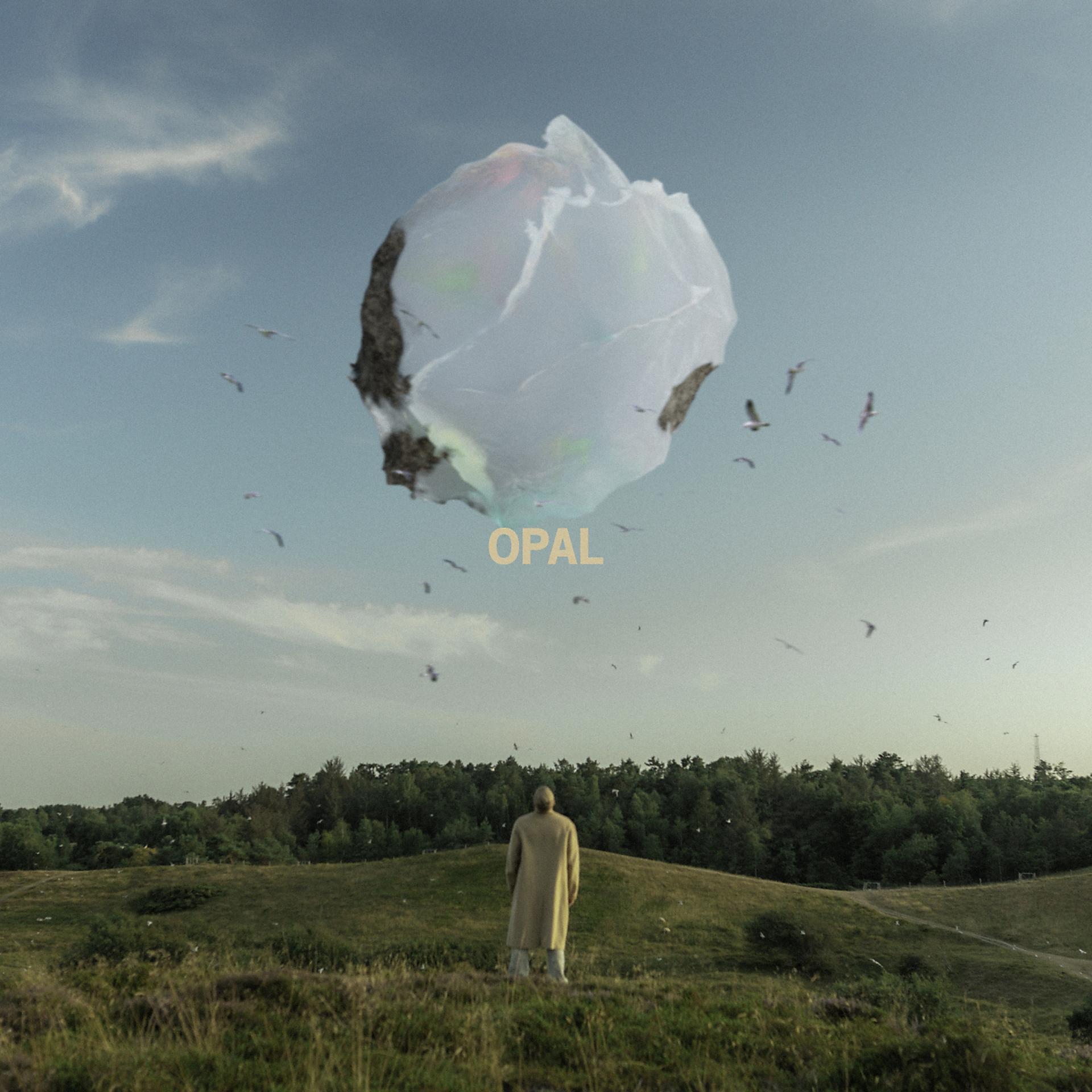 Постер альбома Opal