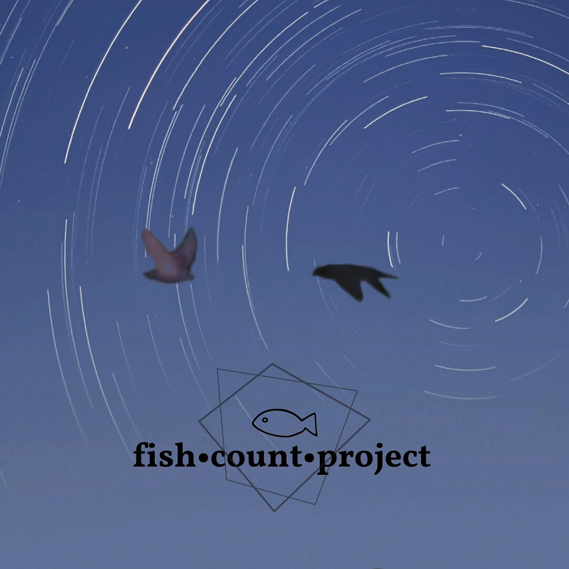 Постер альбома Fish*Count*Project