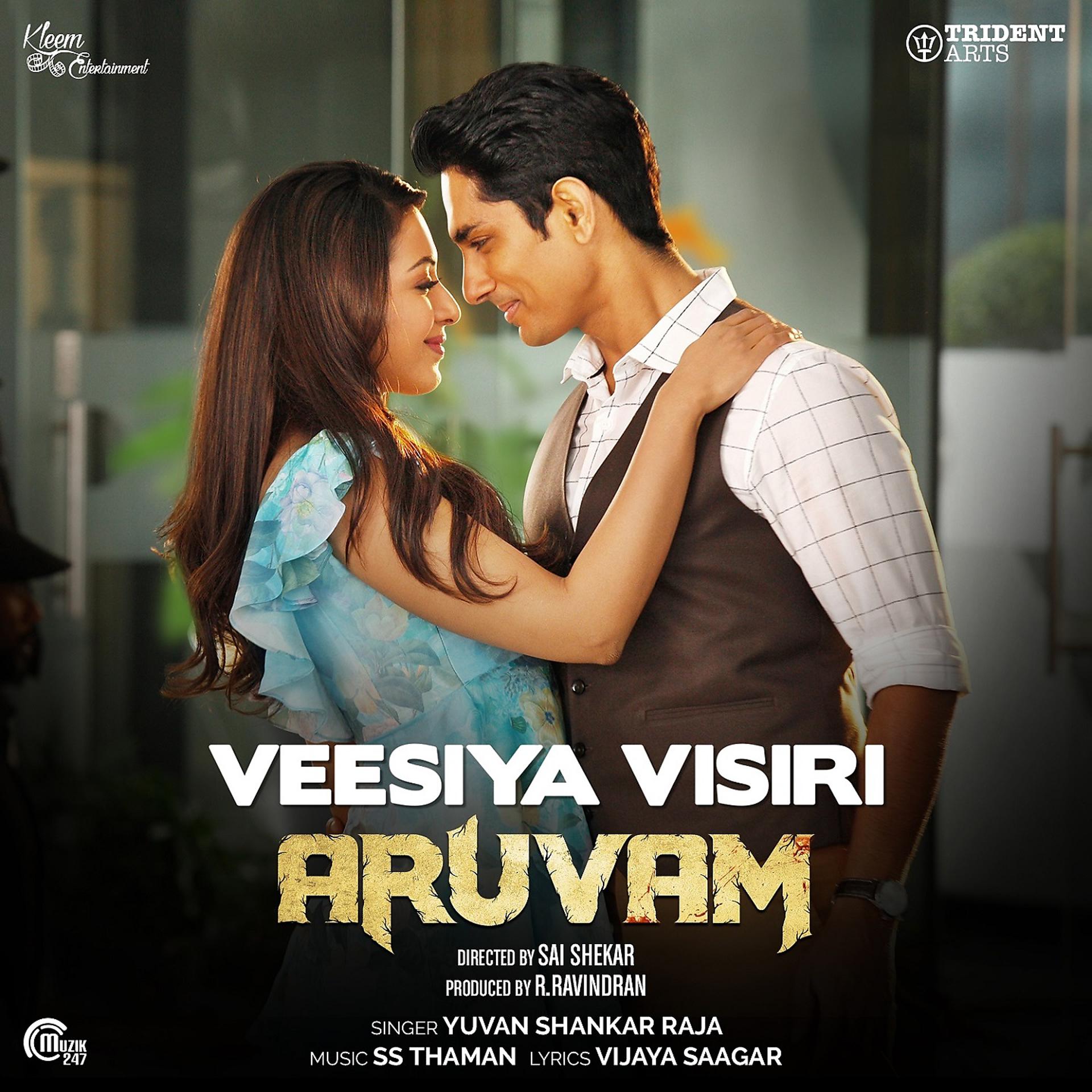 Постер альбома Veesiya Visiri