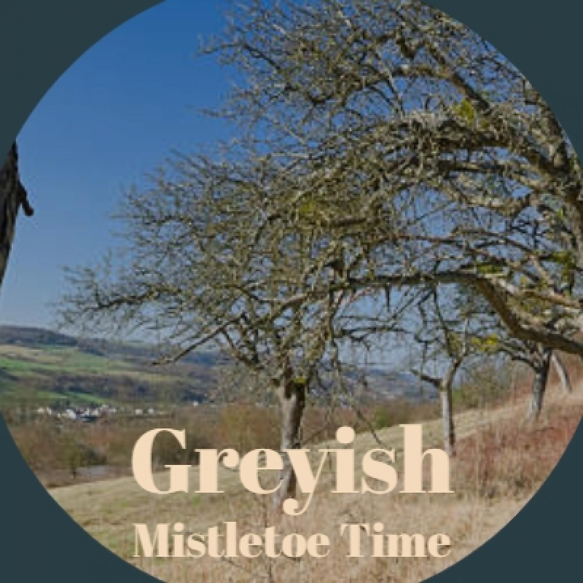 Постер альбома Greyish Mistletoe Time