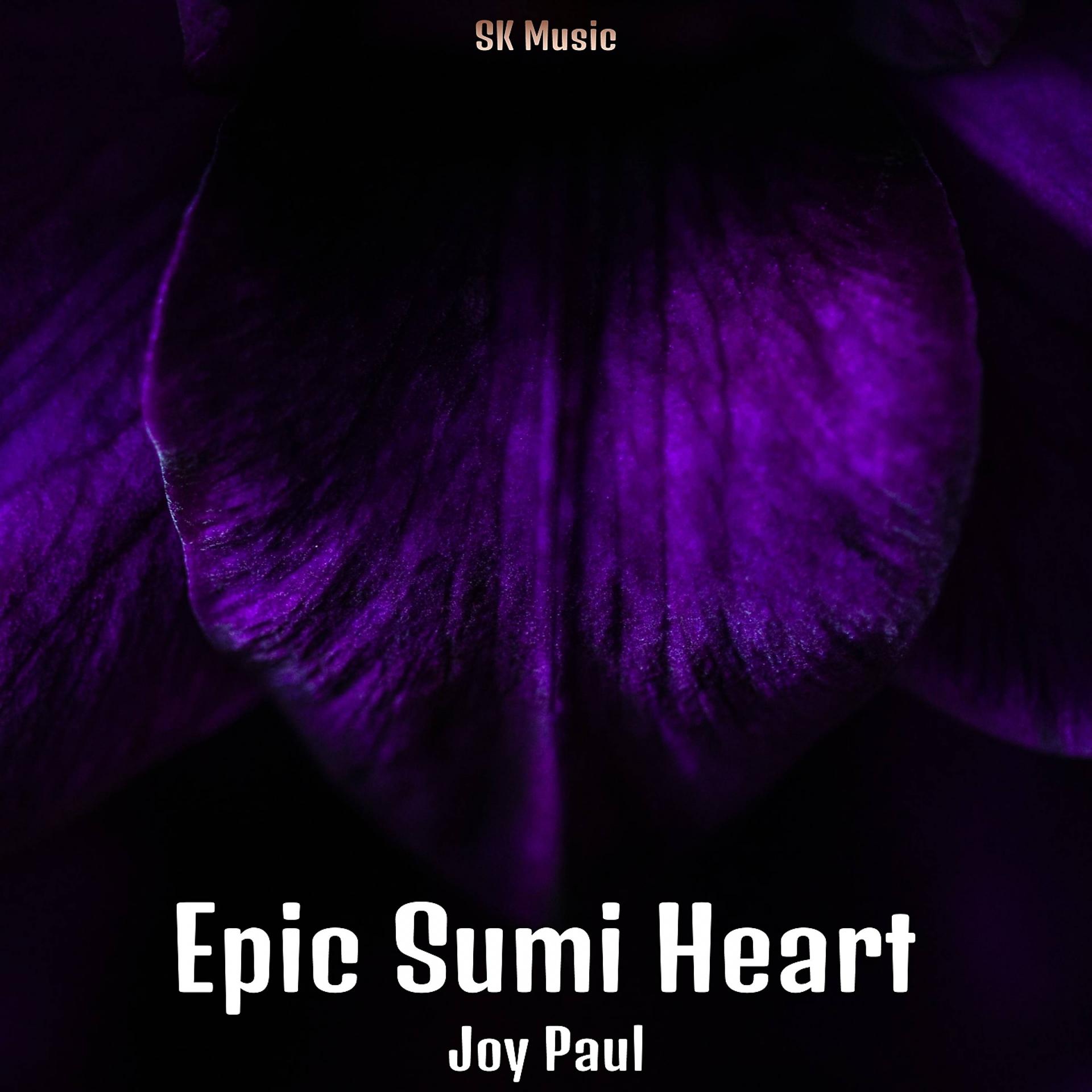Постер альбома Epic Sumi Heart