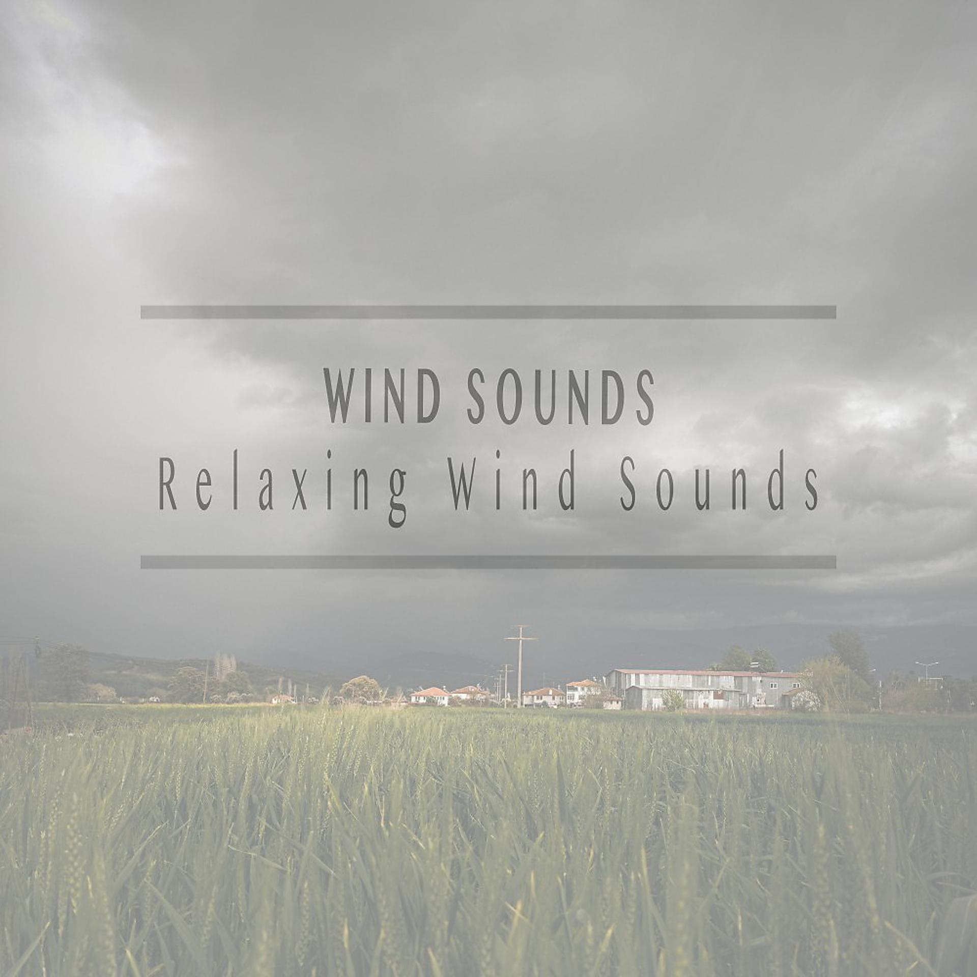 Постер альбома Relaxing Wind Sounds