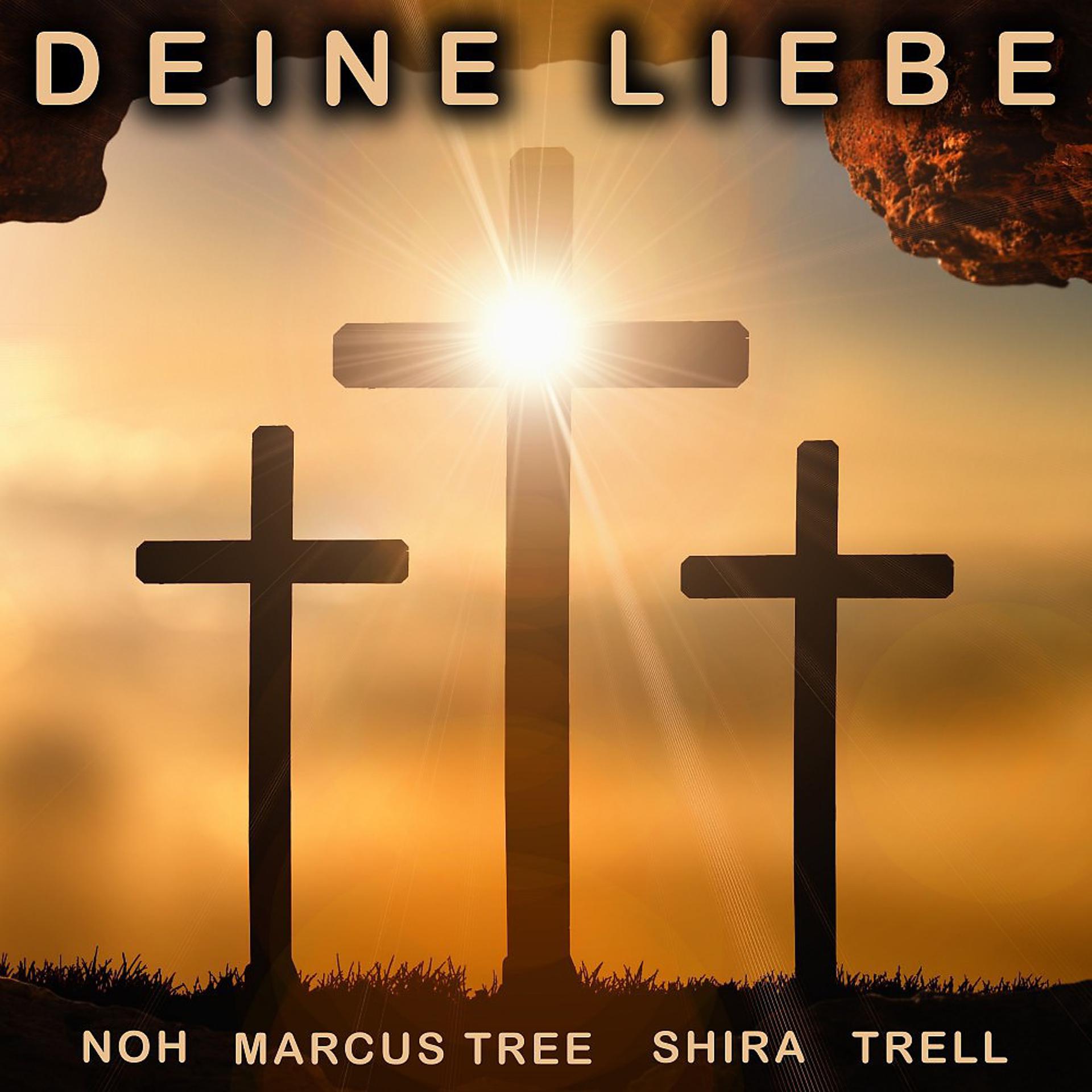 Постер альбома Deine Liebe