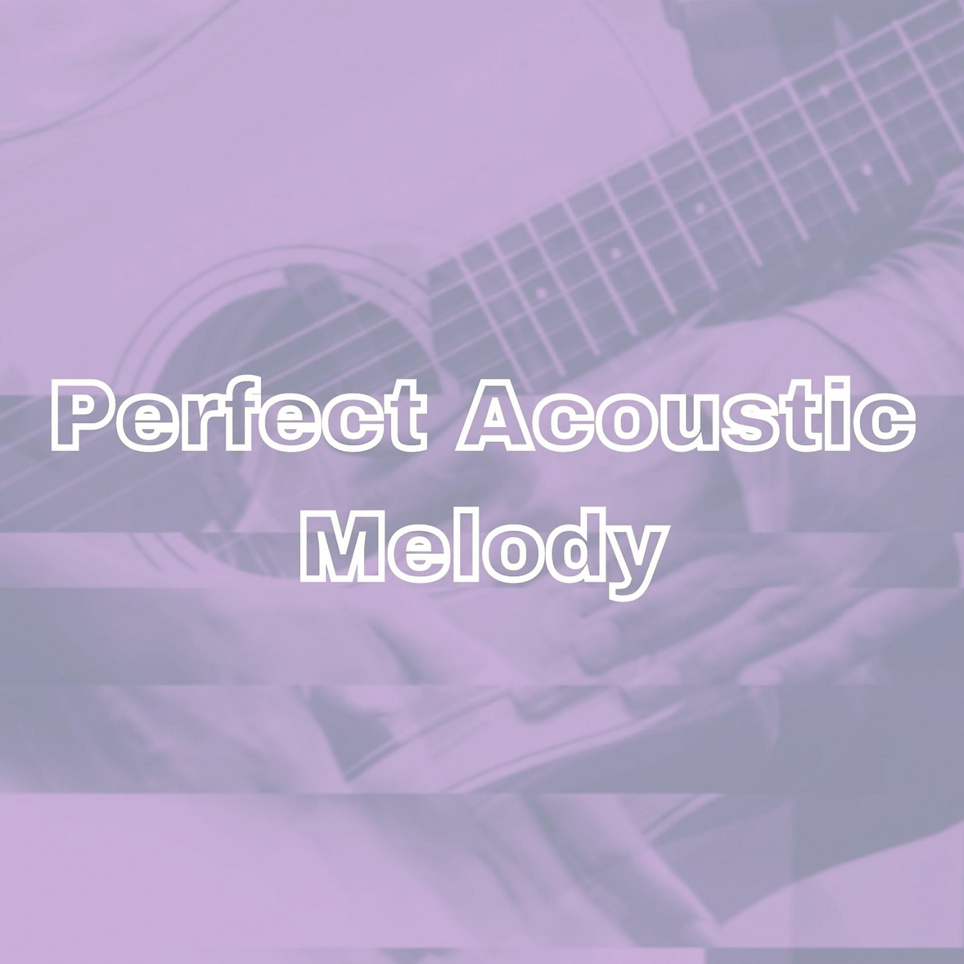 Постер альбома Perfect Acoustic Melody
