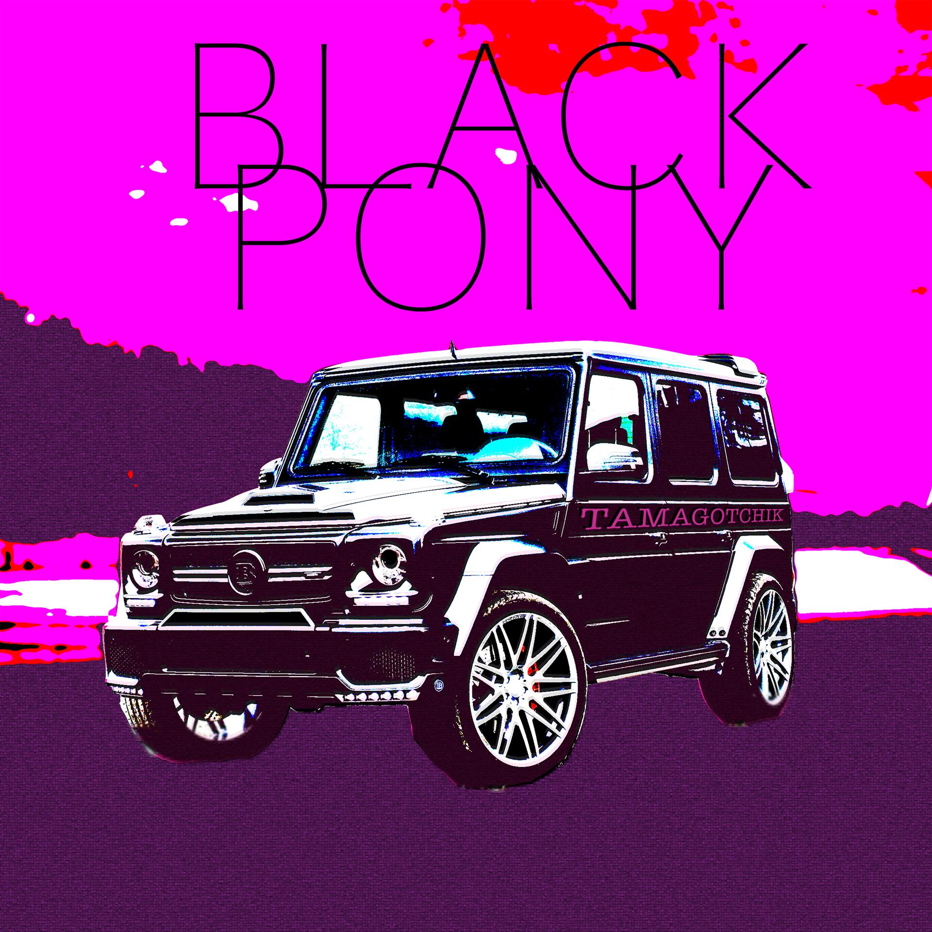 Постер альбома Black Pony