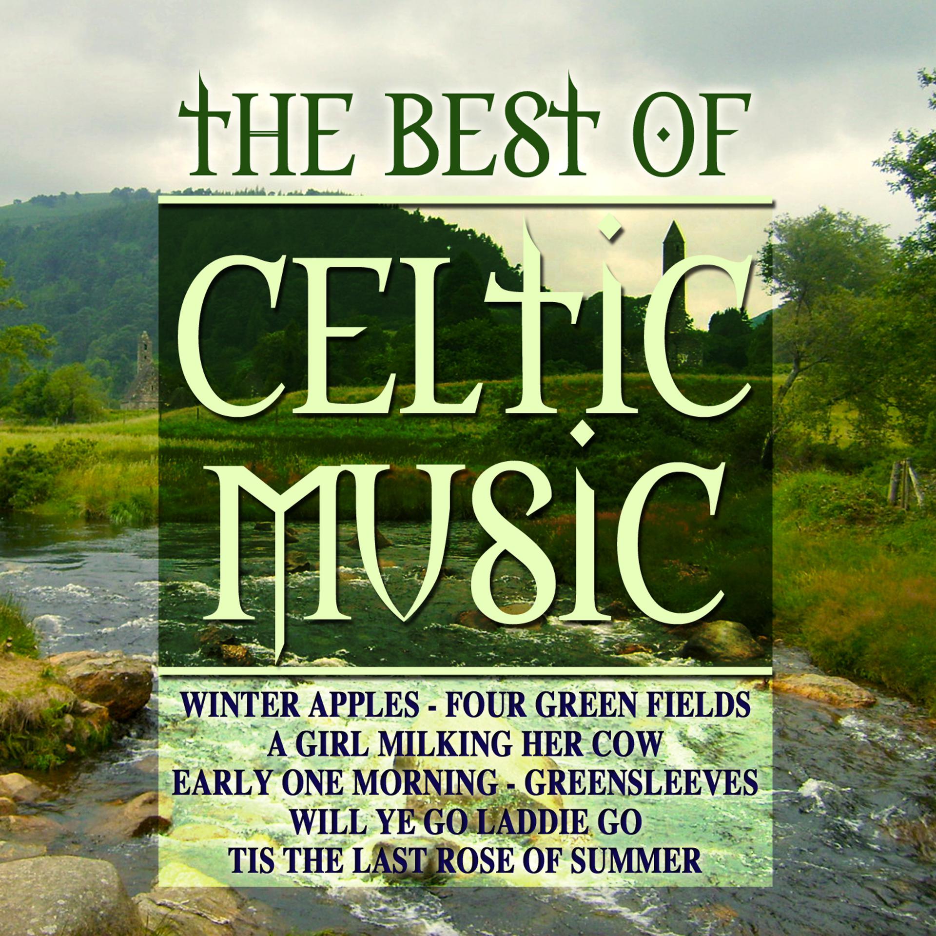 Постер альбома The Best of Celtic Music