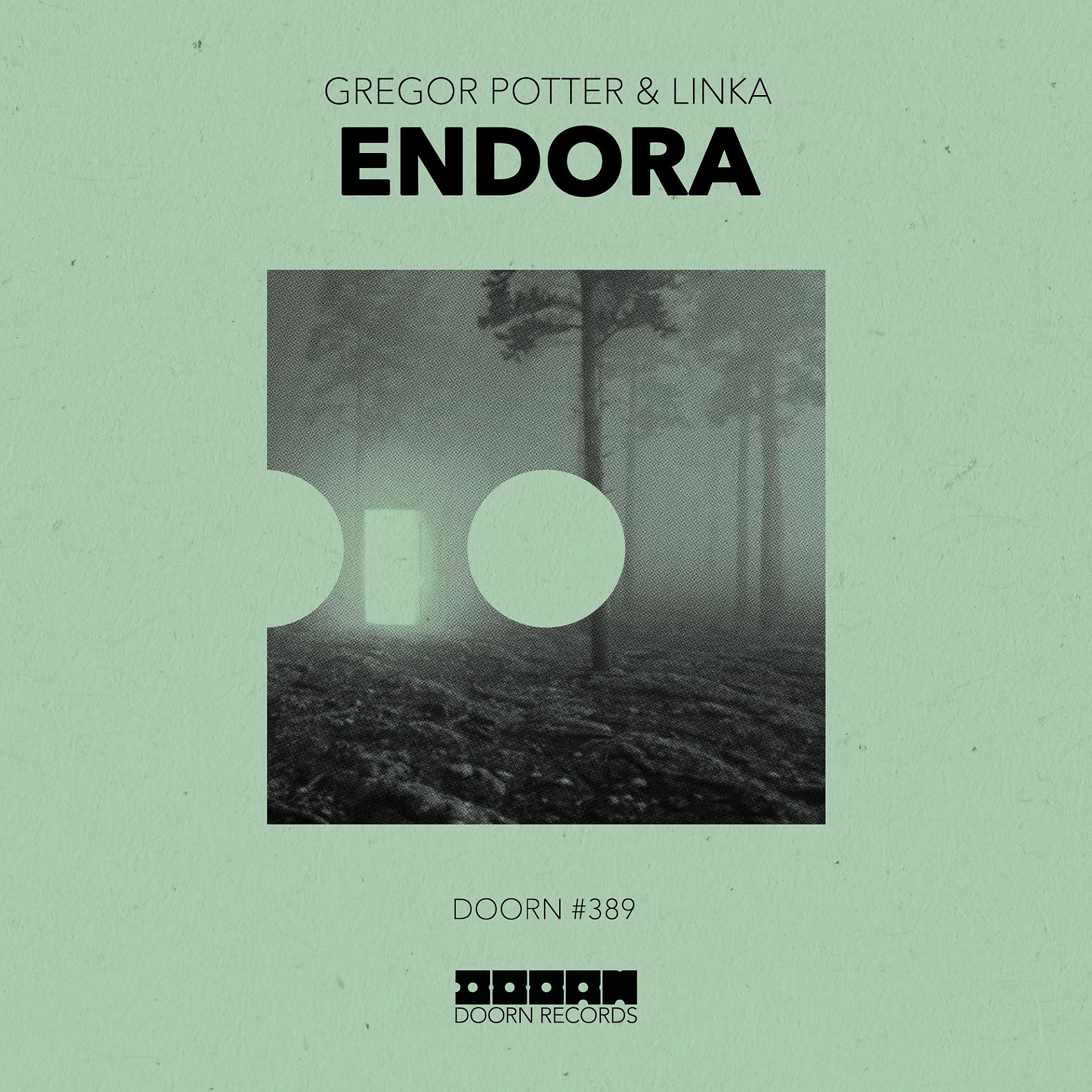 Постер альбома Endora