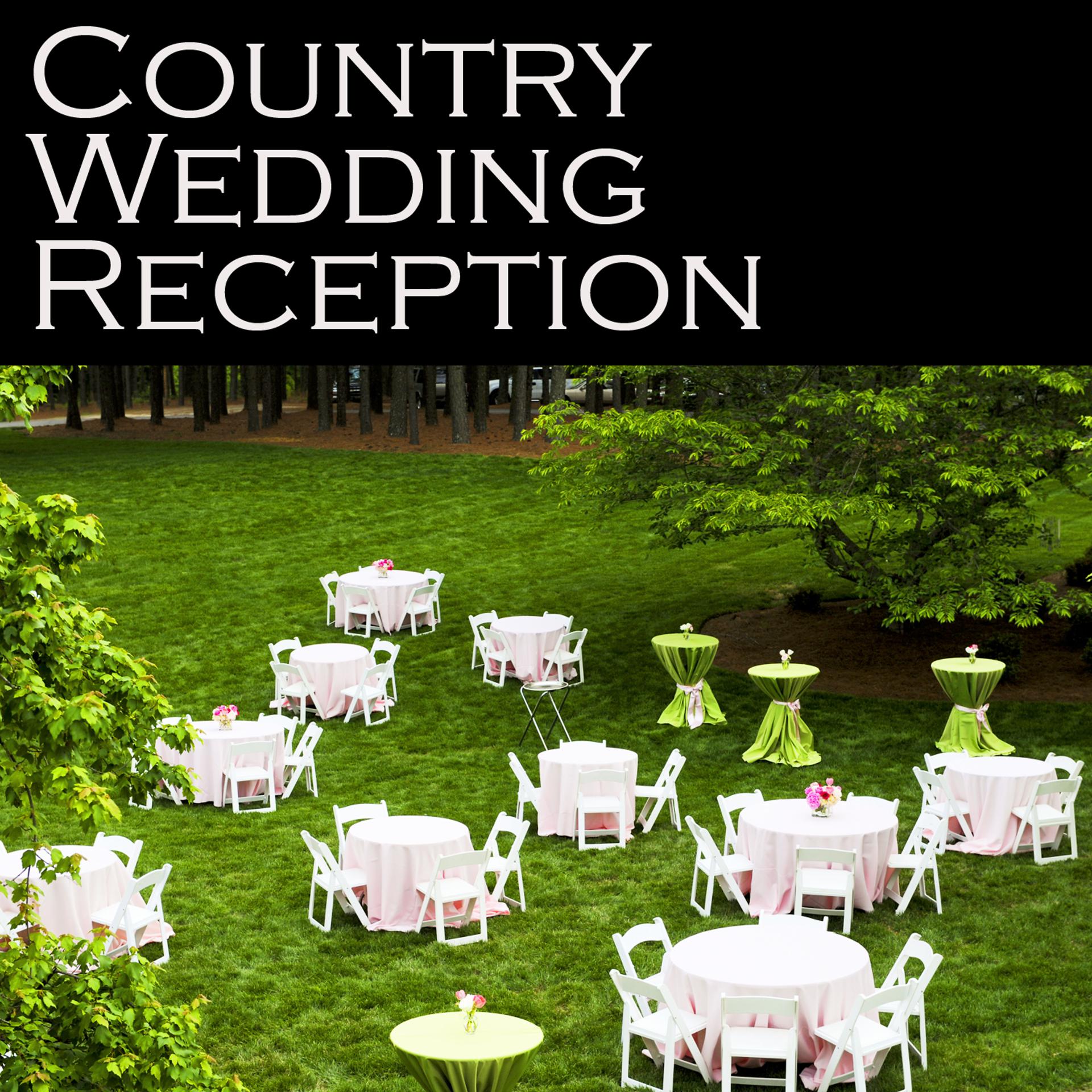 Постер альбома Country Wedding Reception