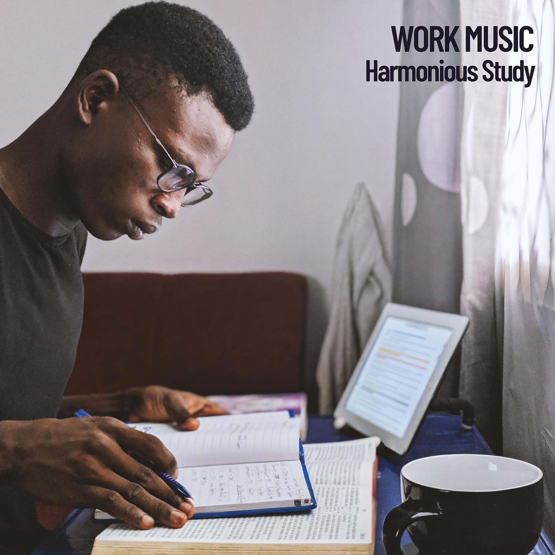 Постер альбома Work Music: Harmonious Study