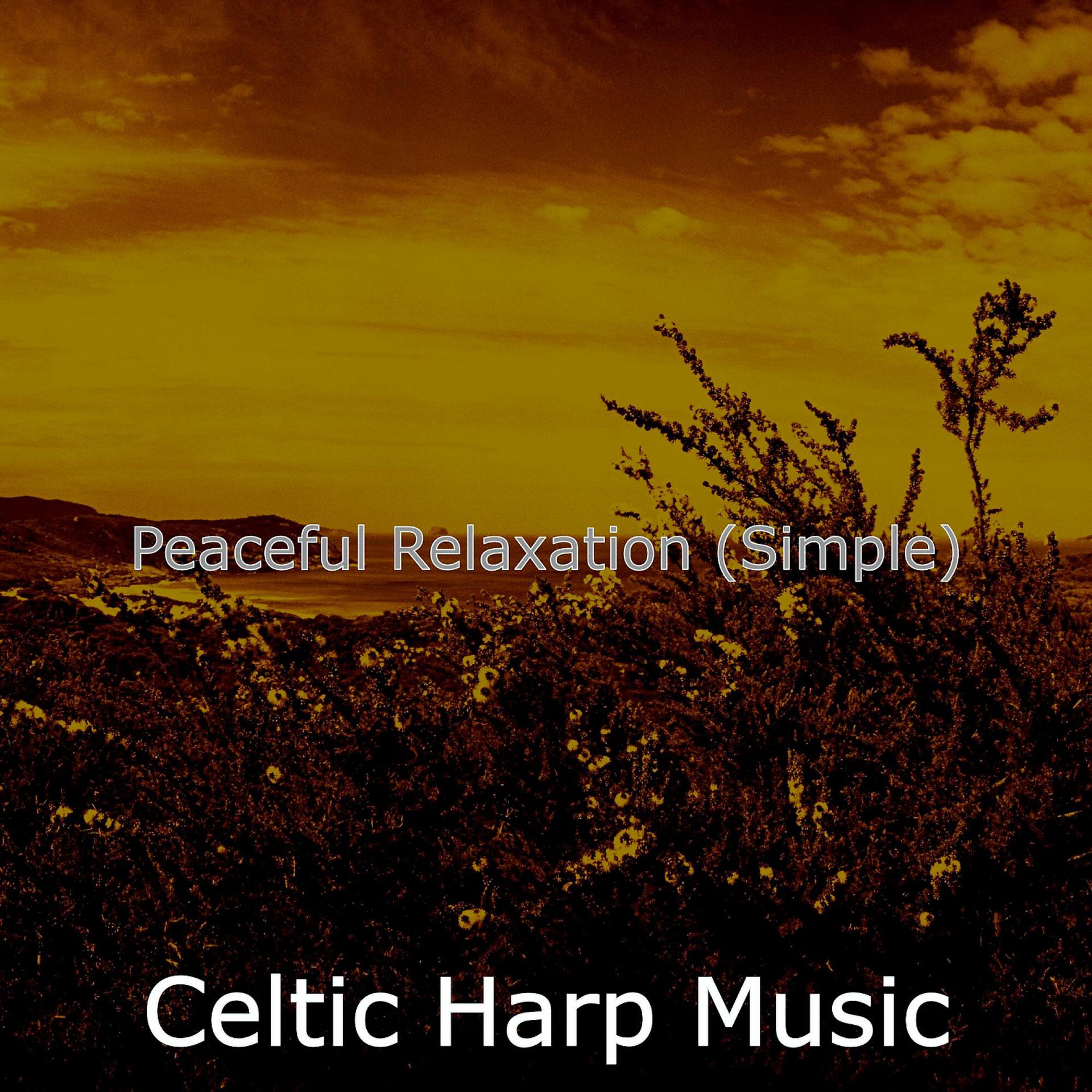 Постер альбома Peaceful Relaxation (Simple)