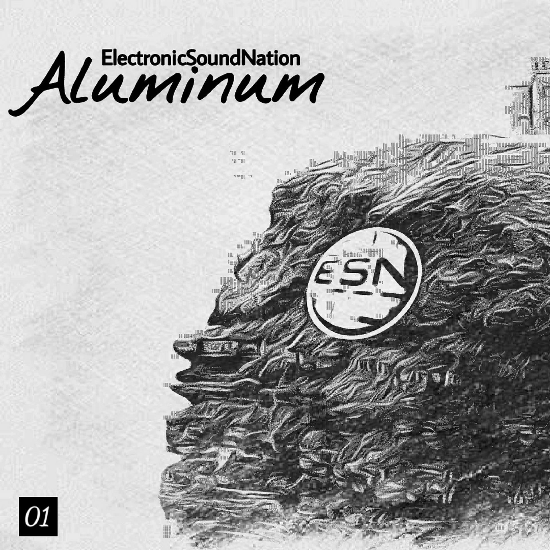 Постер альбома ESN: Aluminum
