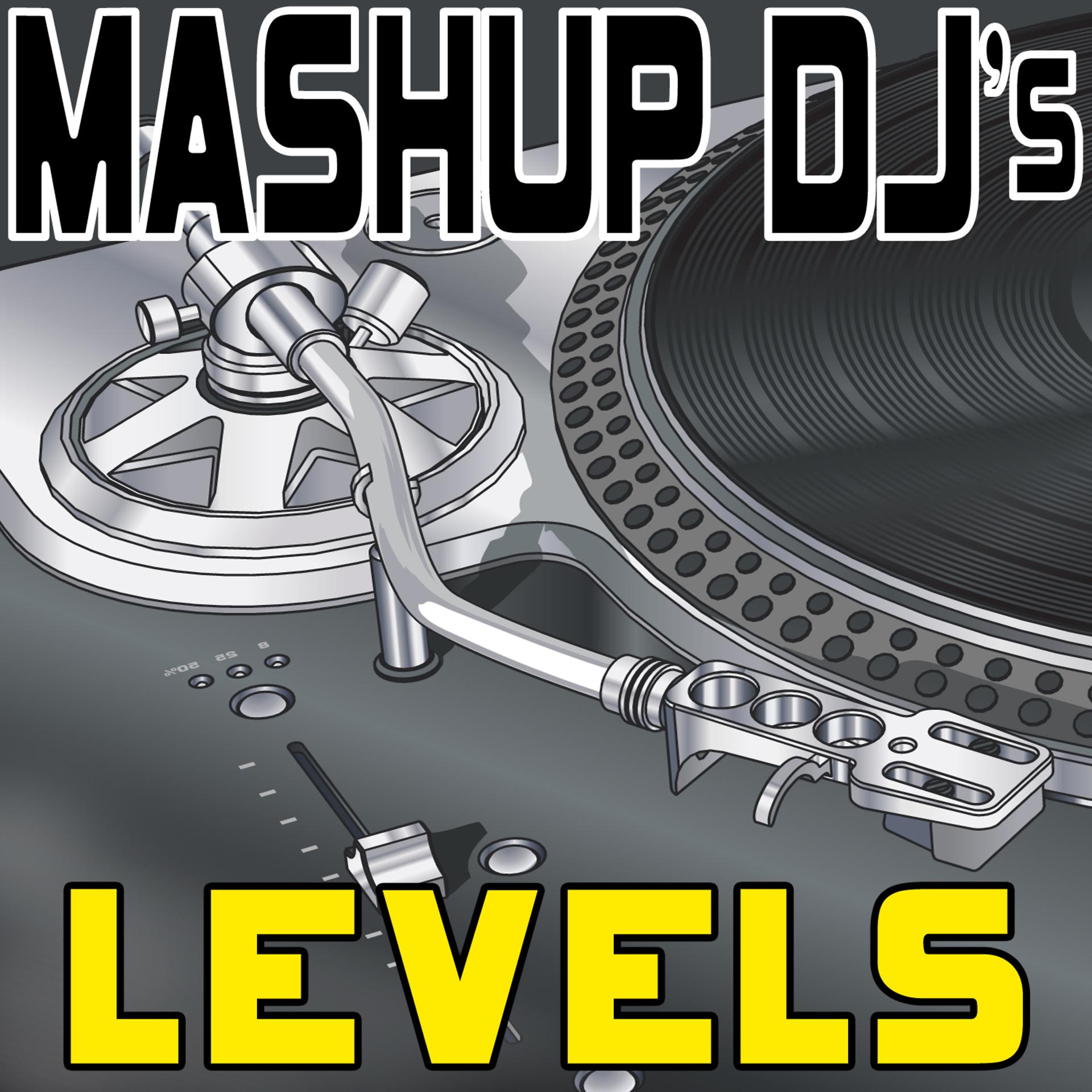 Постер альбома Levels (Remix Tools for Mash-Ups)