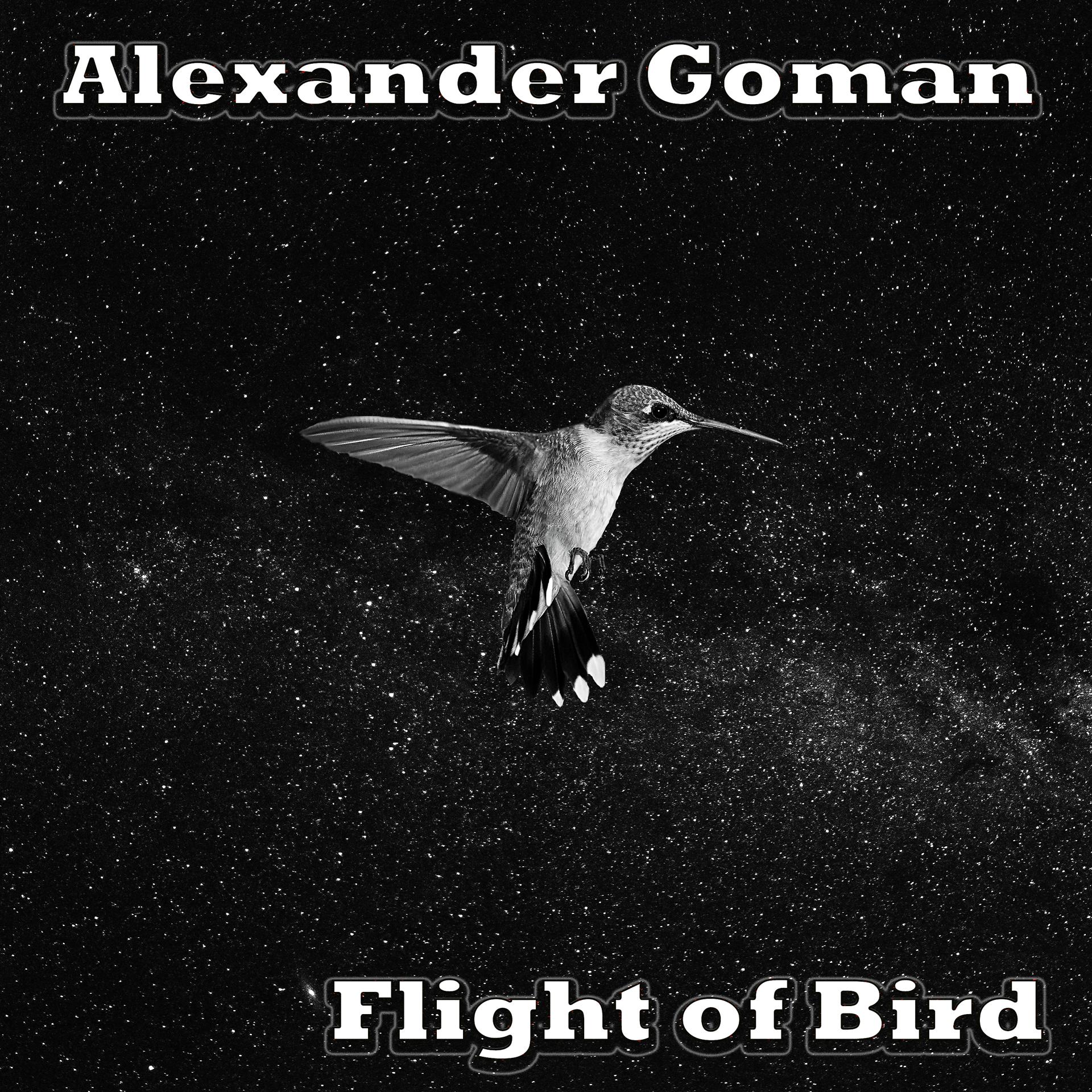 Постер альбома Flight of Bird