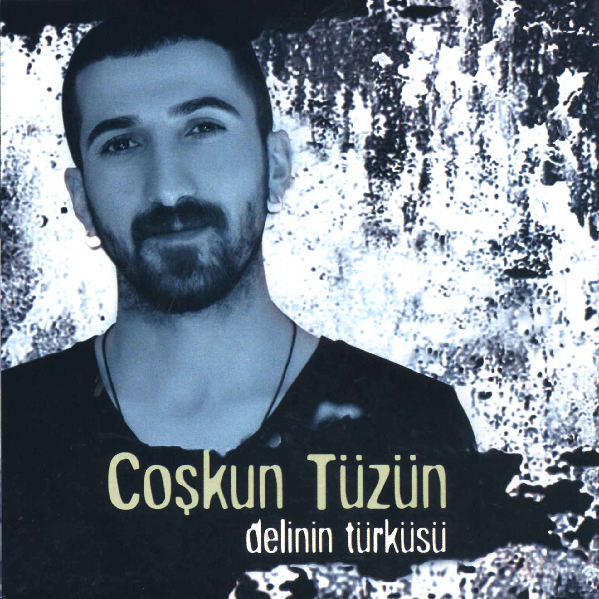 Постер альбома Delinin Türküsü