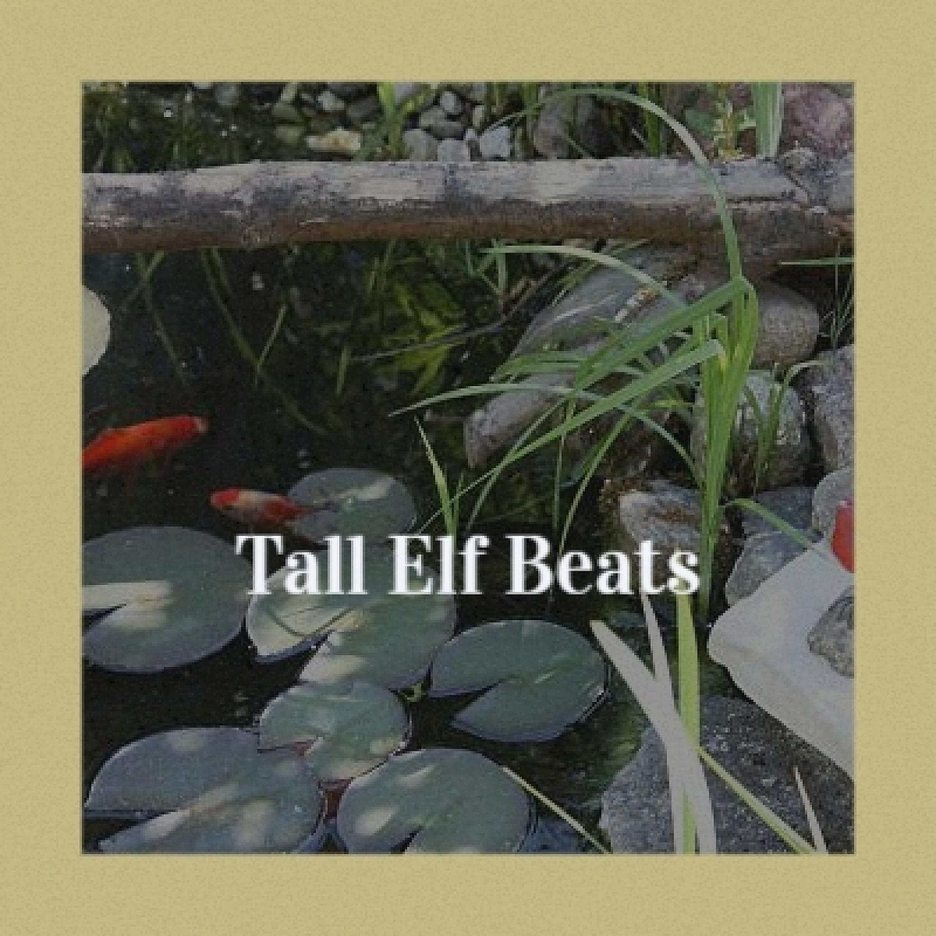 Постер альбома Tall Elf Beats