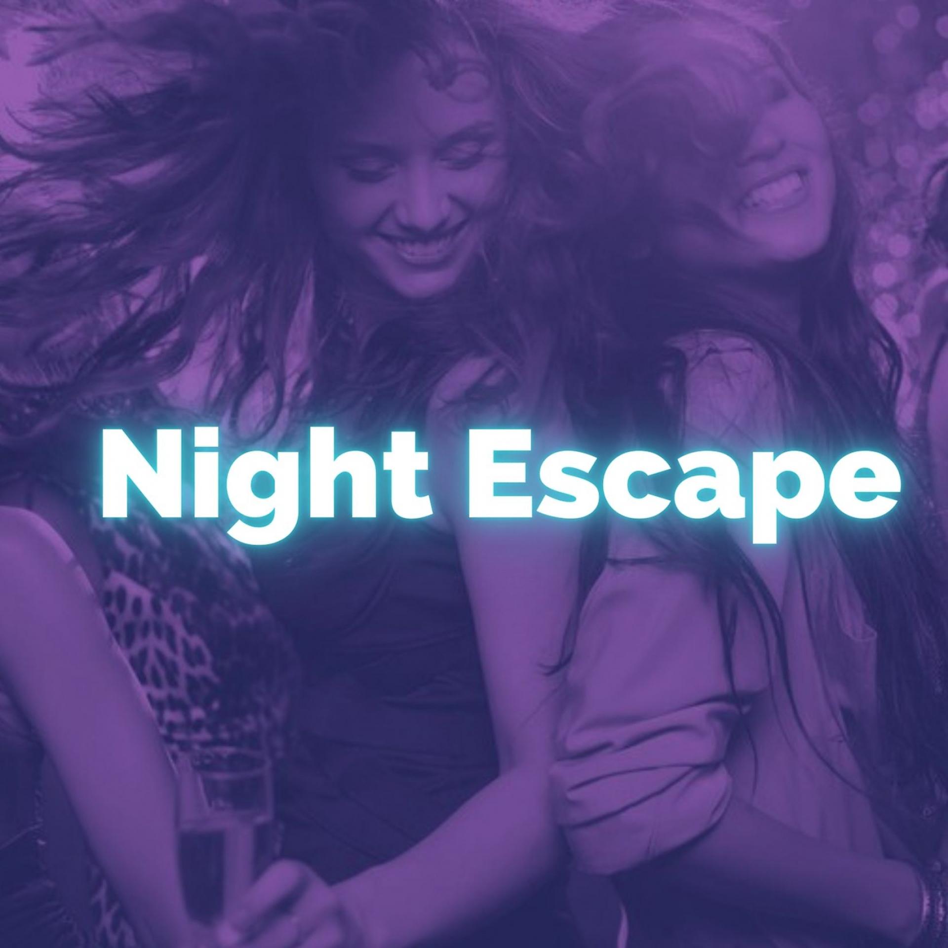 Постер альбома Night Escape