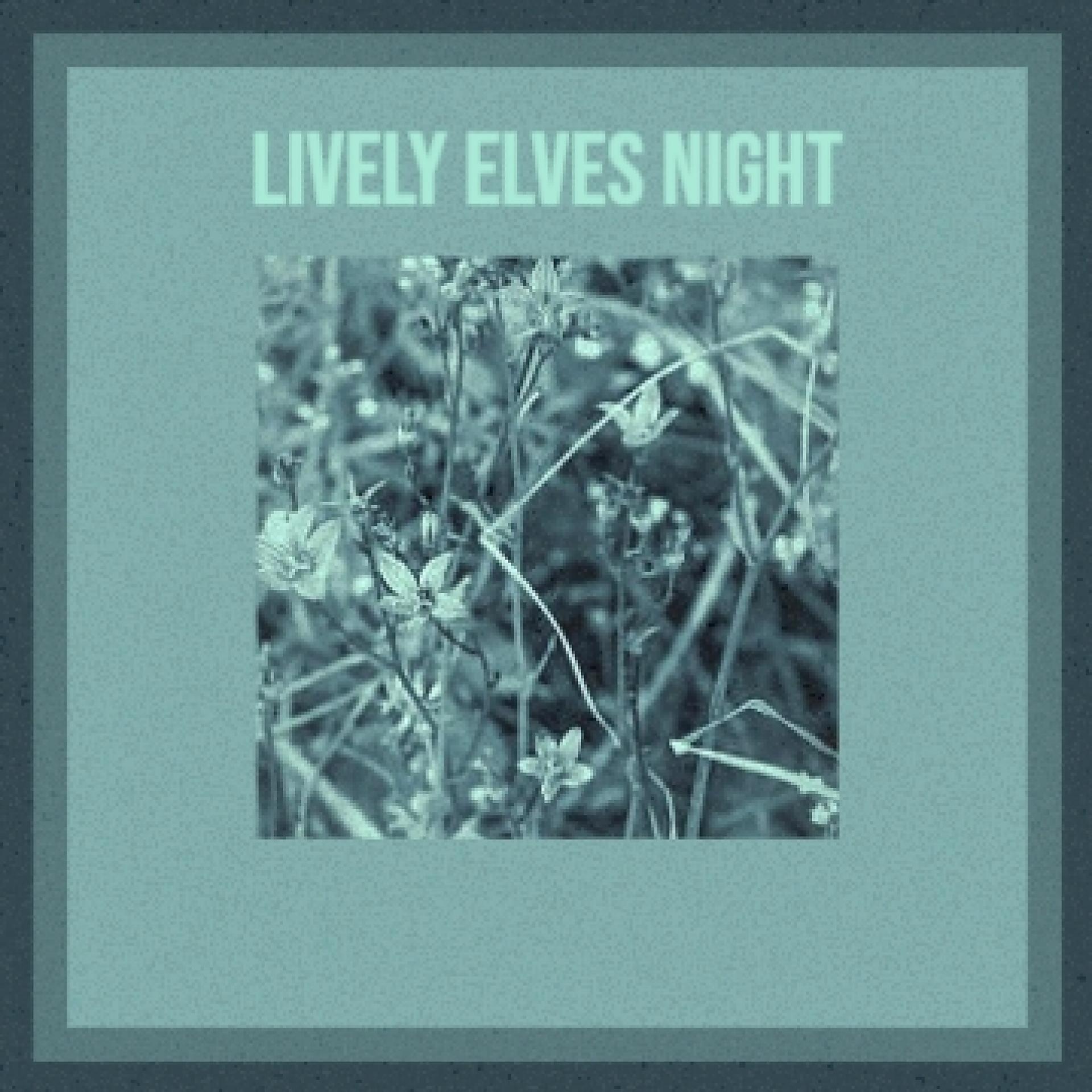 Постер альбома Lively Elves Night