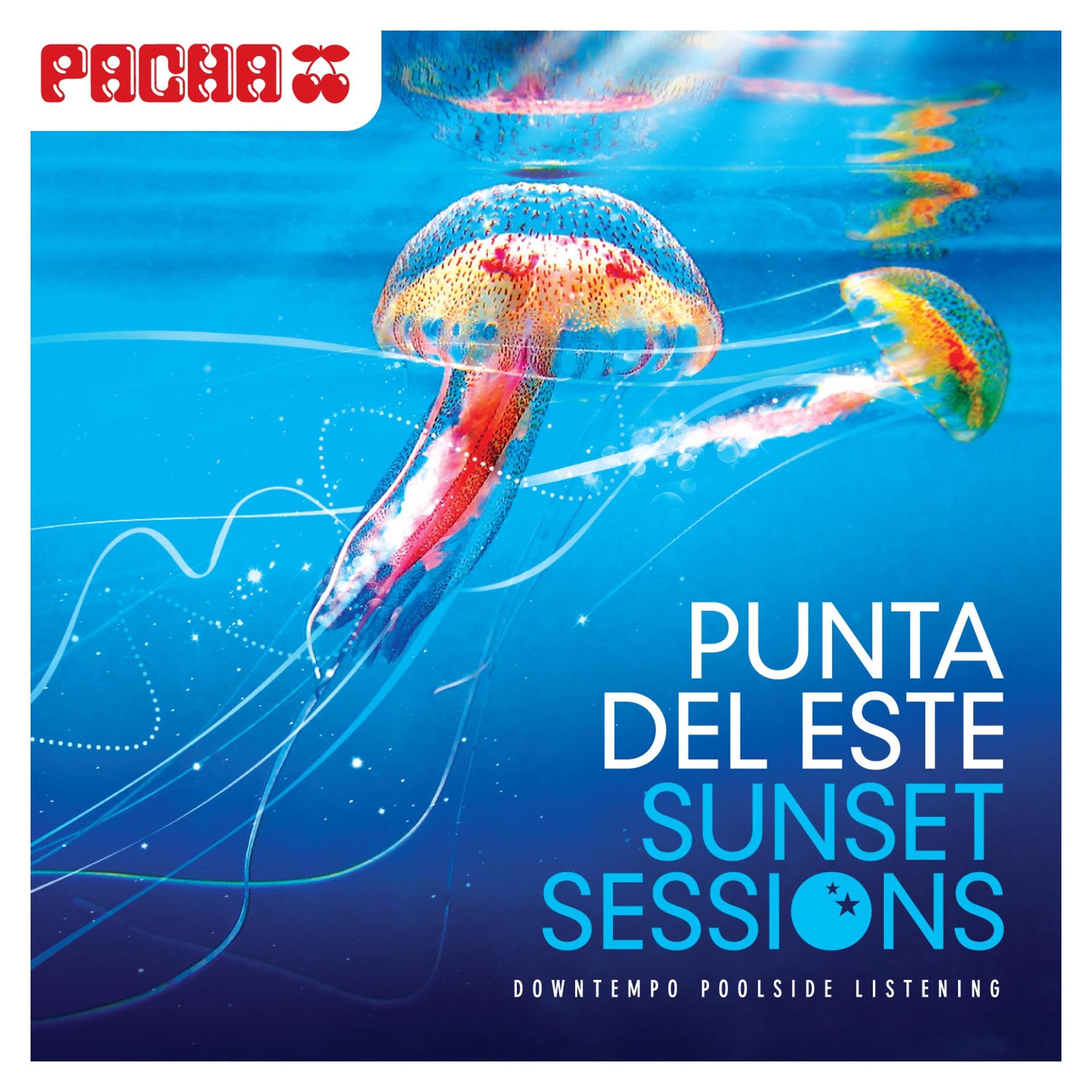 Постер альбома Pacha: Punta Del Este Sunset Sessions