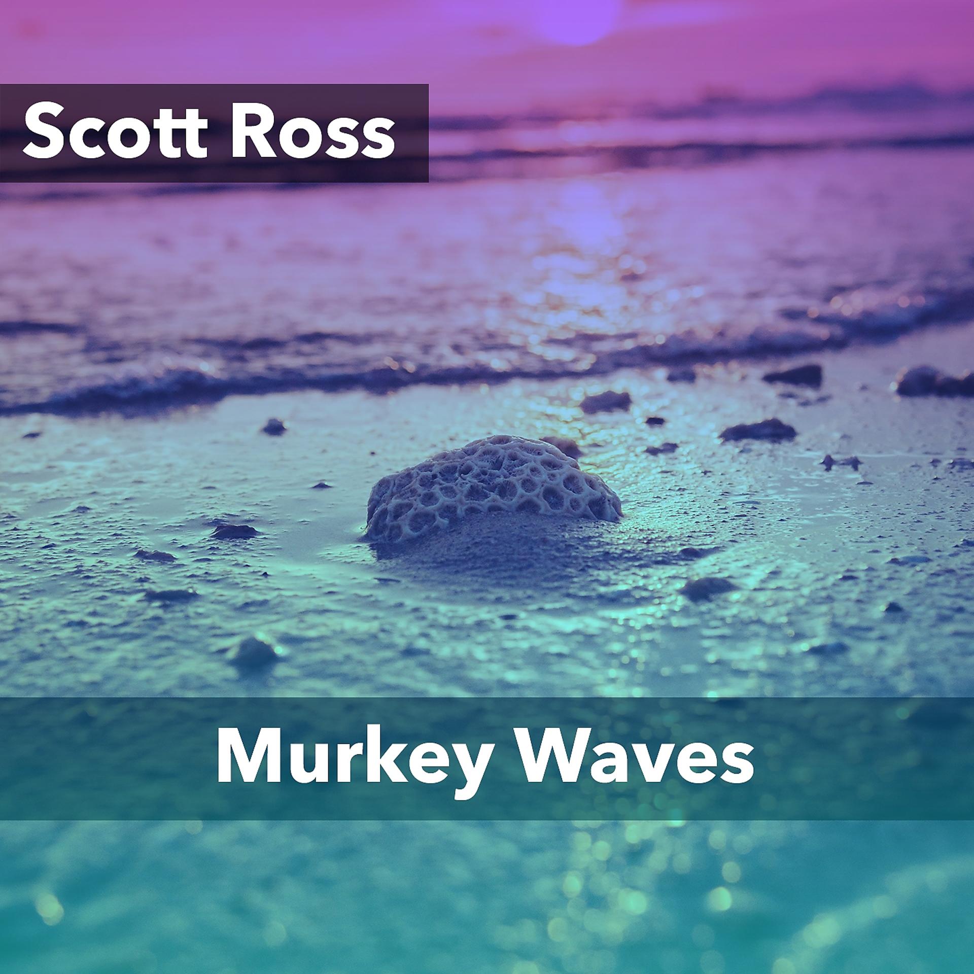 Постер альбома Murkey Waves
