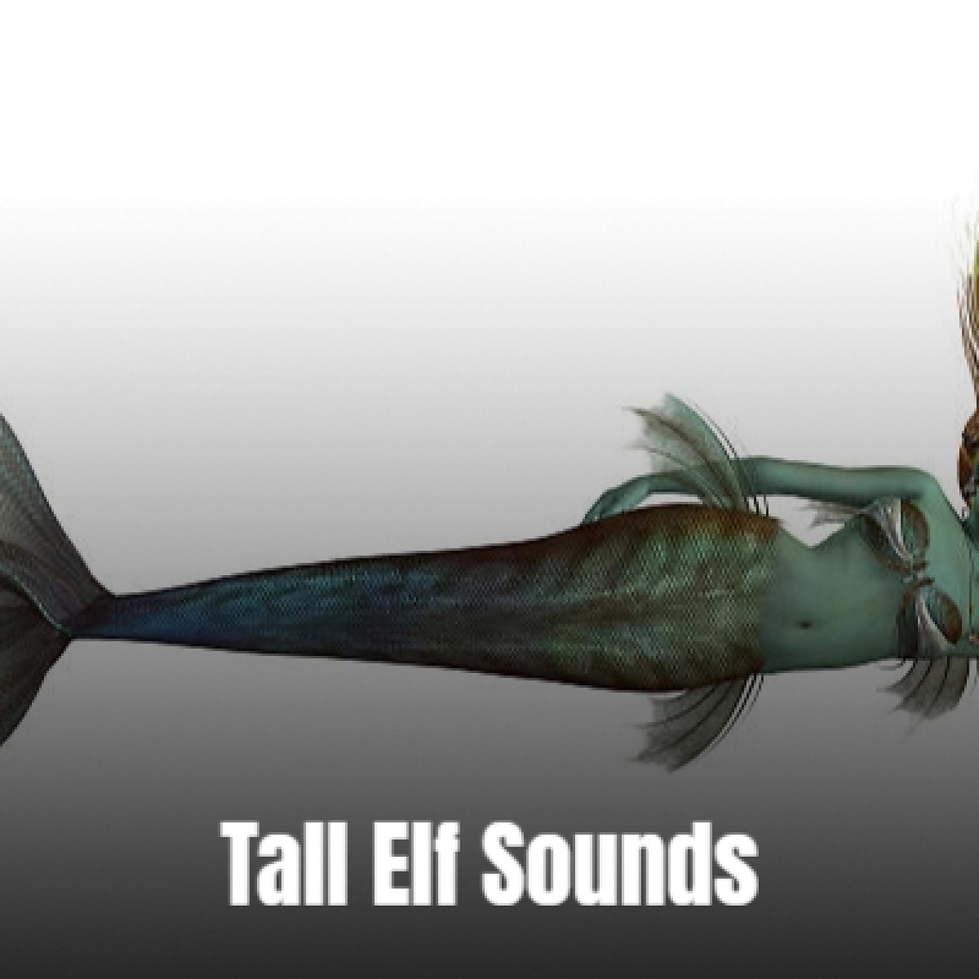 Постер альбома Tall Elf Sounds