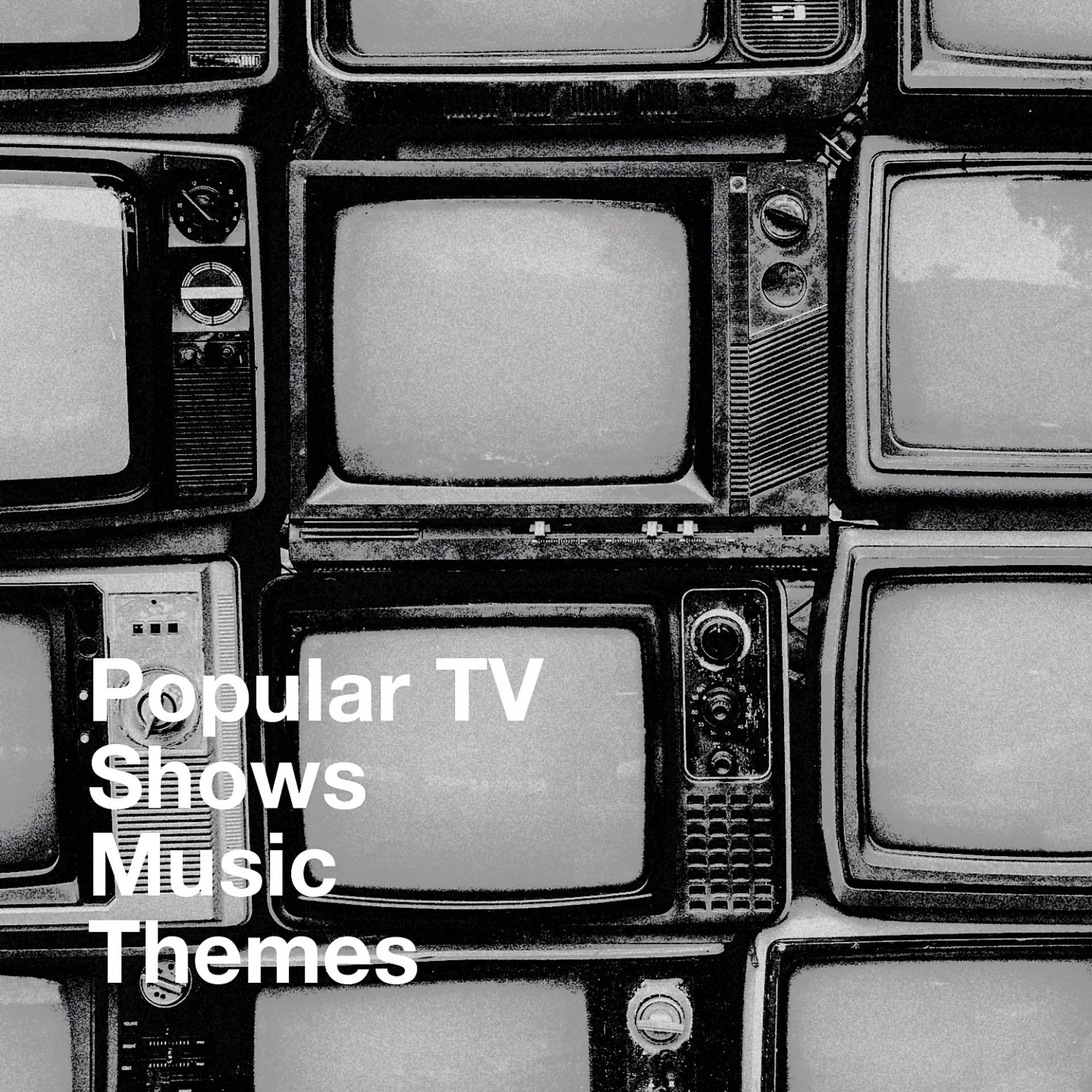 Постер альбома Popular TV Shows Music Themes