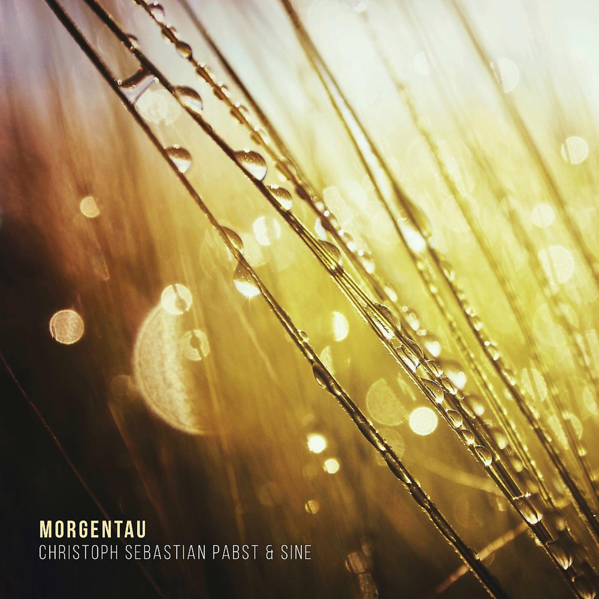 Постер альбома Morgentau