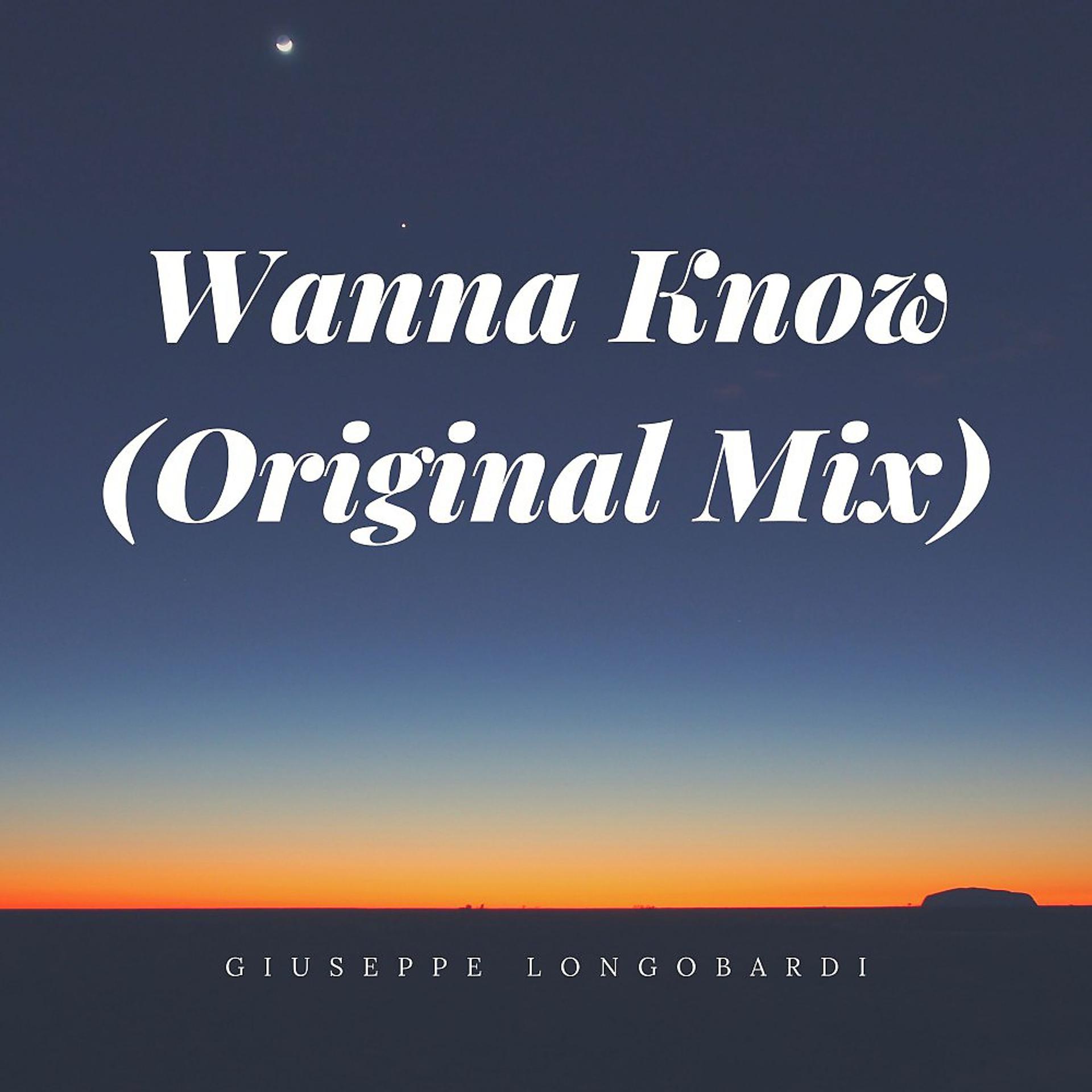 Постер альбома Wanna Know (Original Mix)