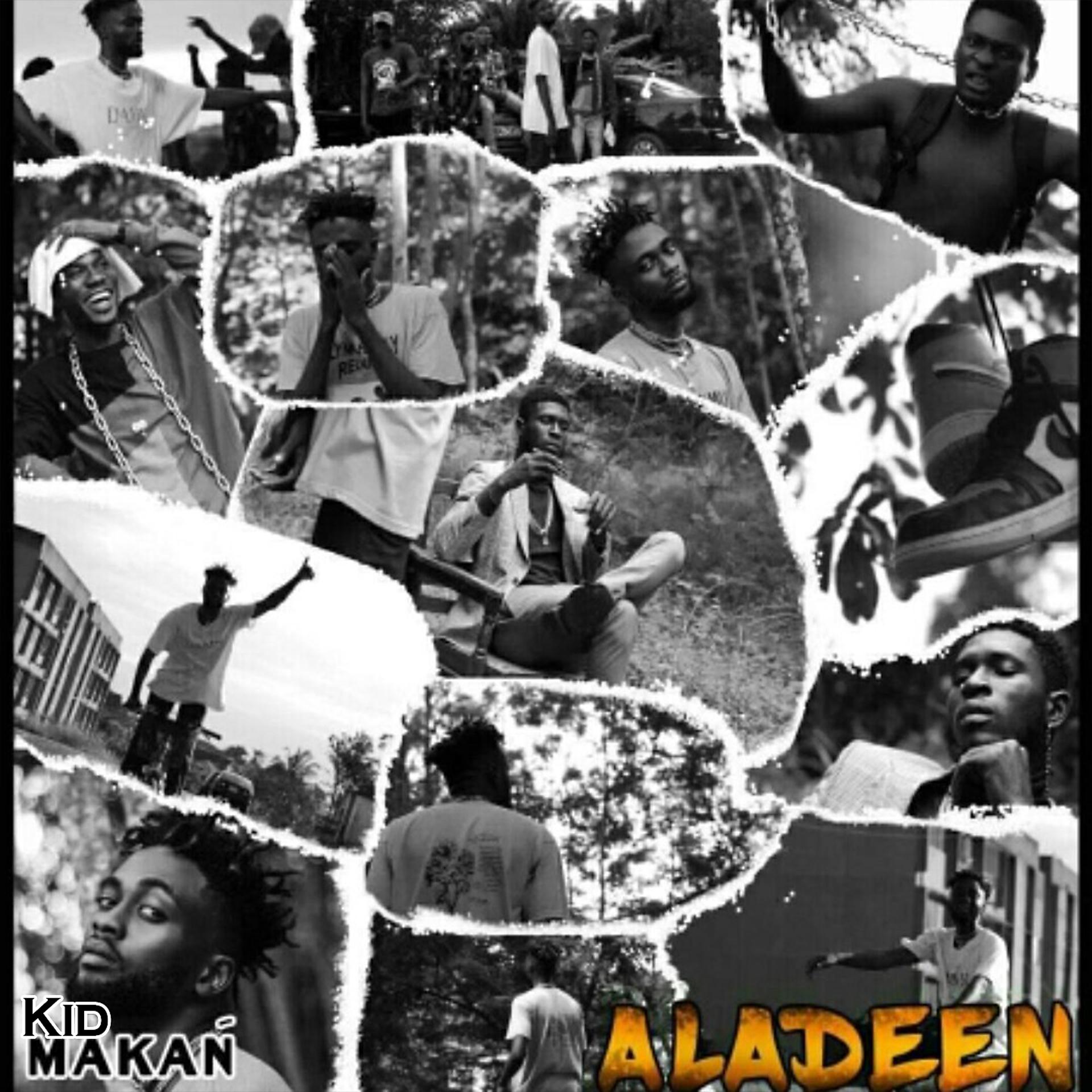 Постер альбома Aladeen
