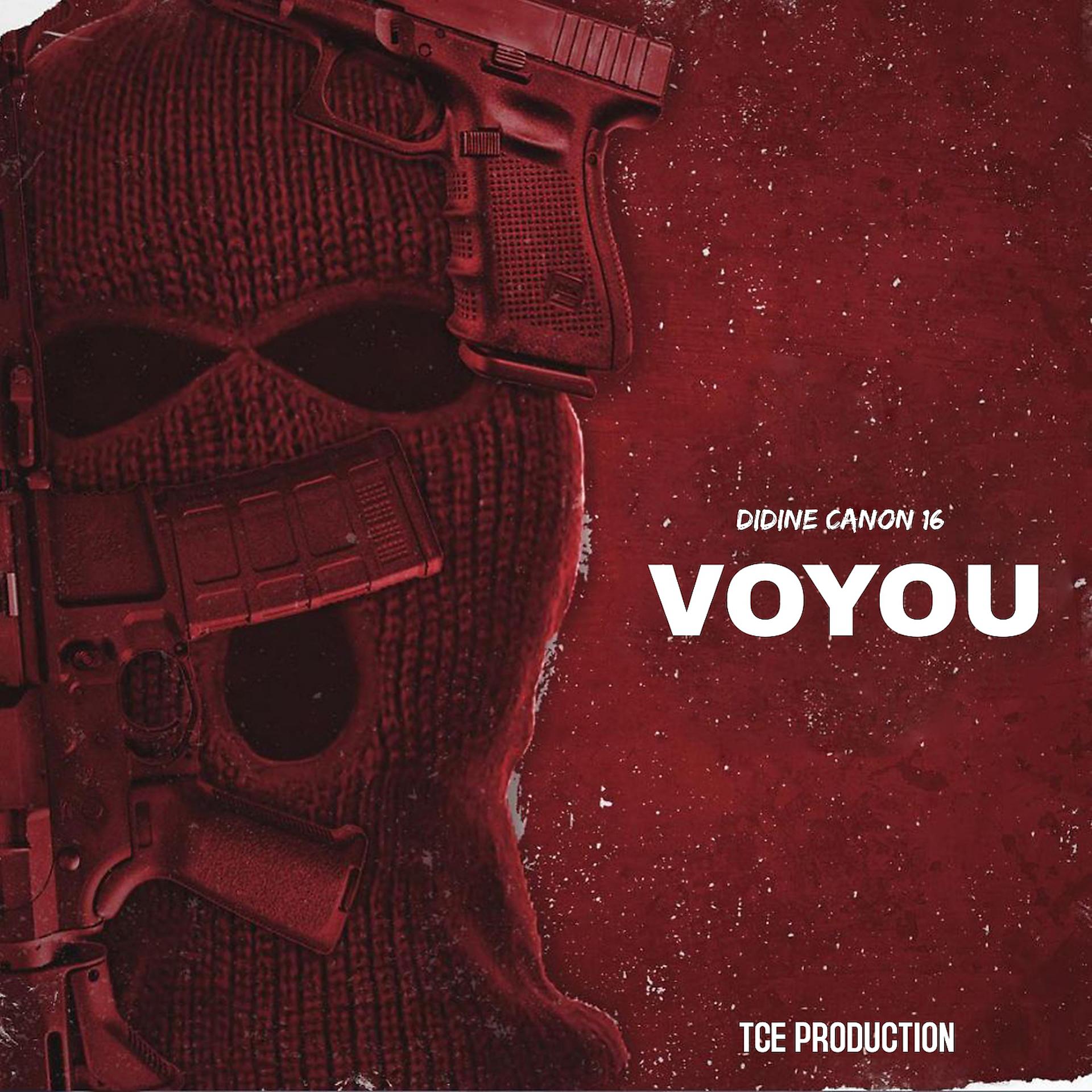Постер альбома Voyou