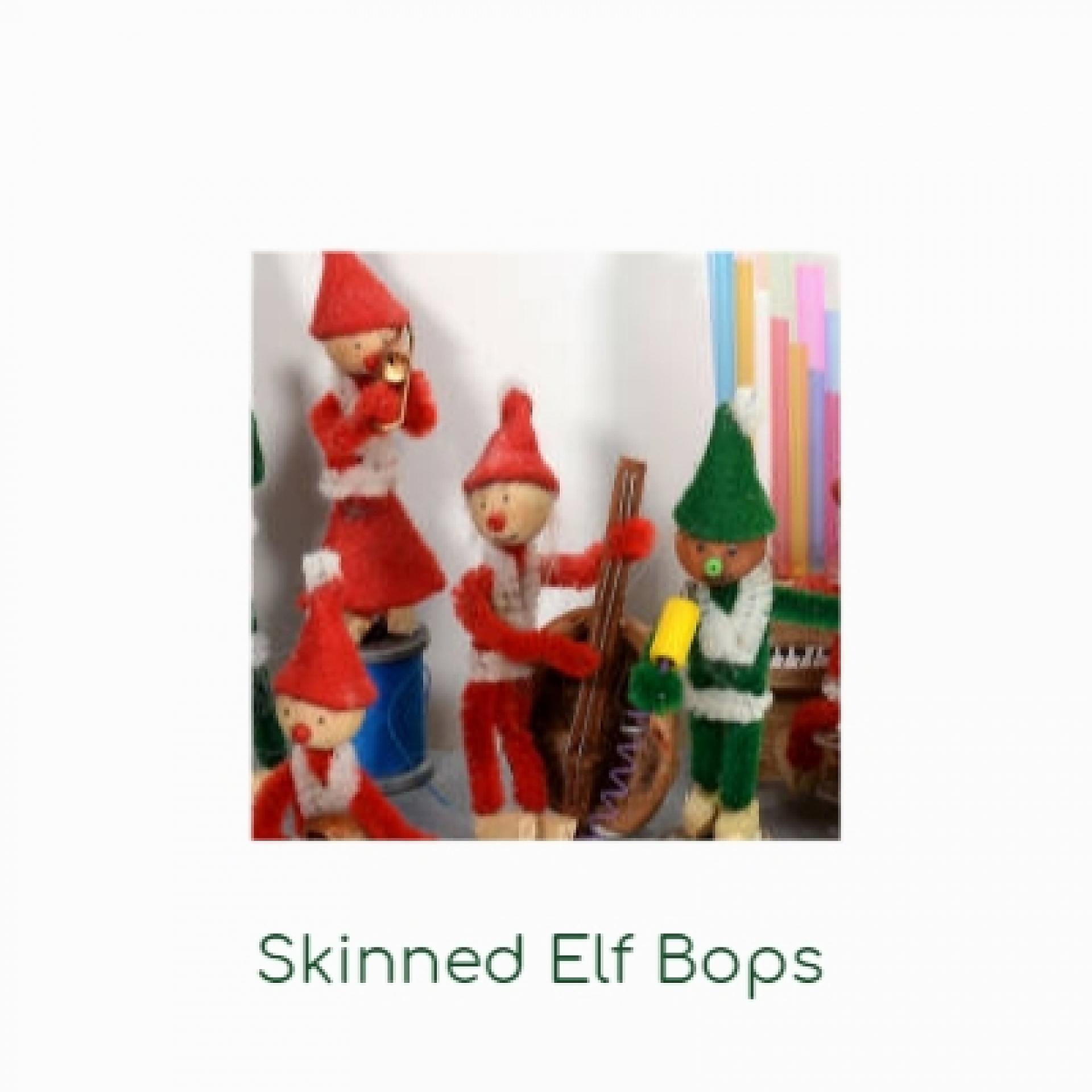 Постер альбома Skinned Elf Bops