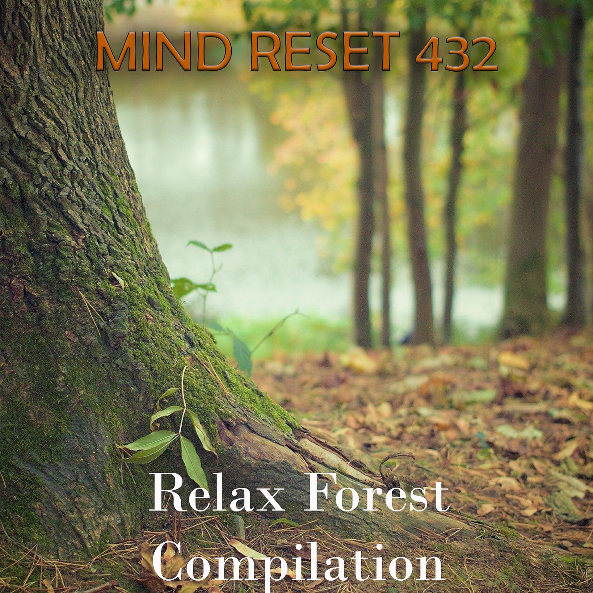 Постер альбома Relax Forest
